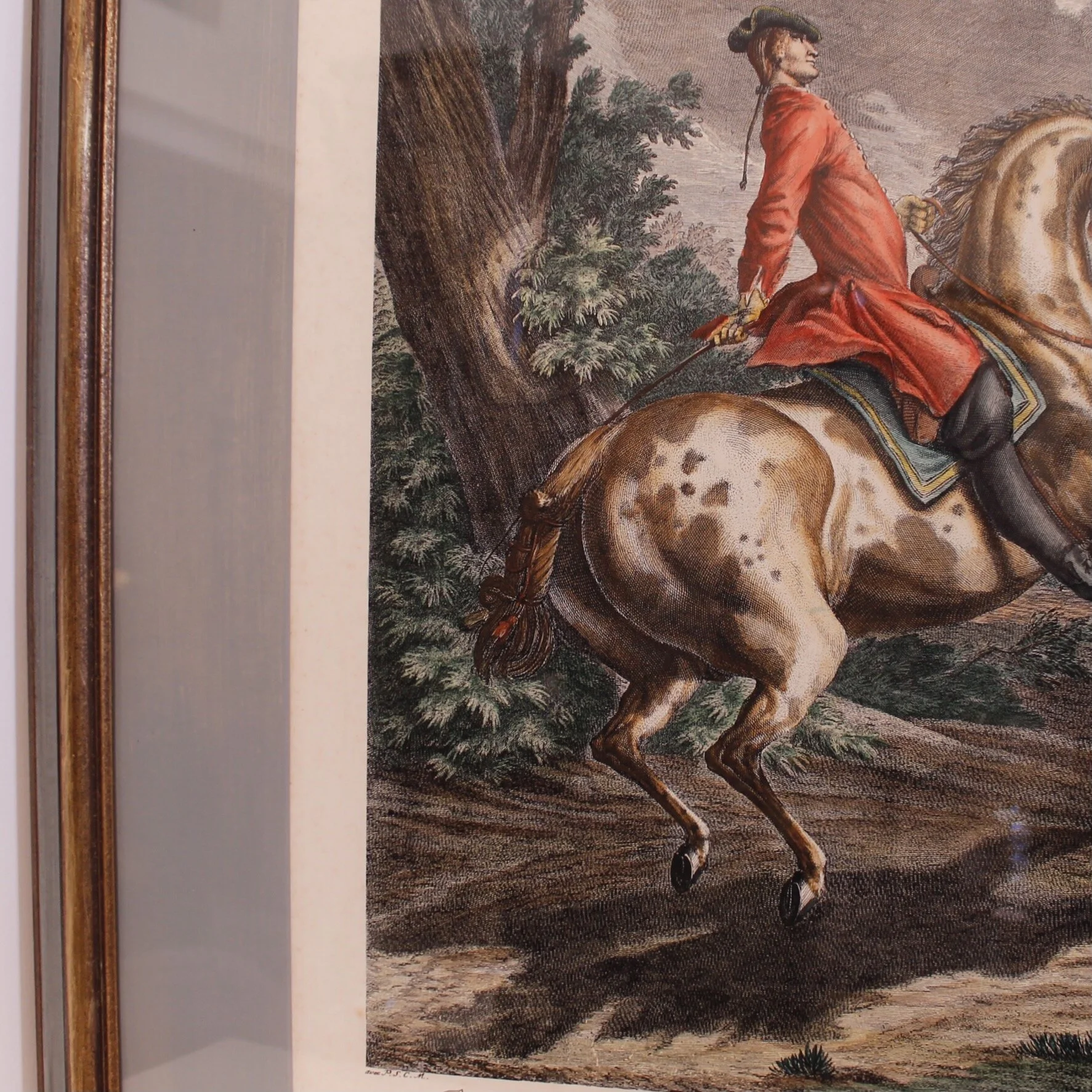 “Pallotade,” Large Equestrian (Dressage) Engraving,  Elias Ridinger