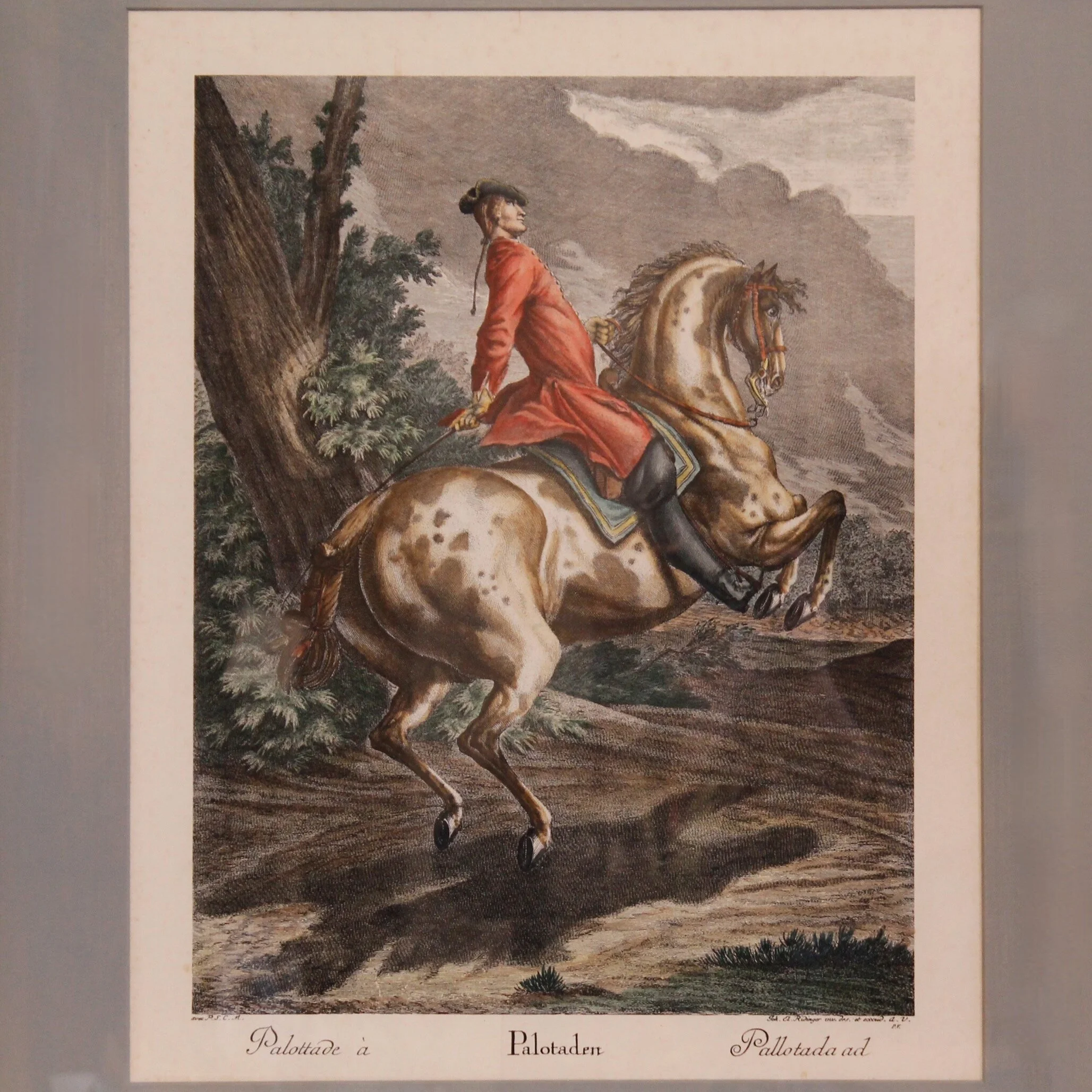 “Pallotade,” Large Equestrian (Dressage) Engraving,  Elias Ridinger
