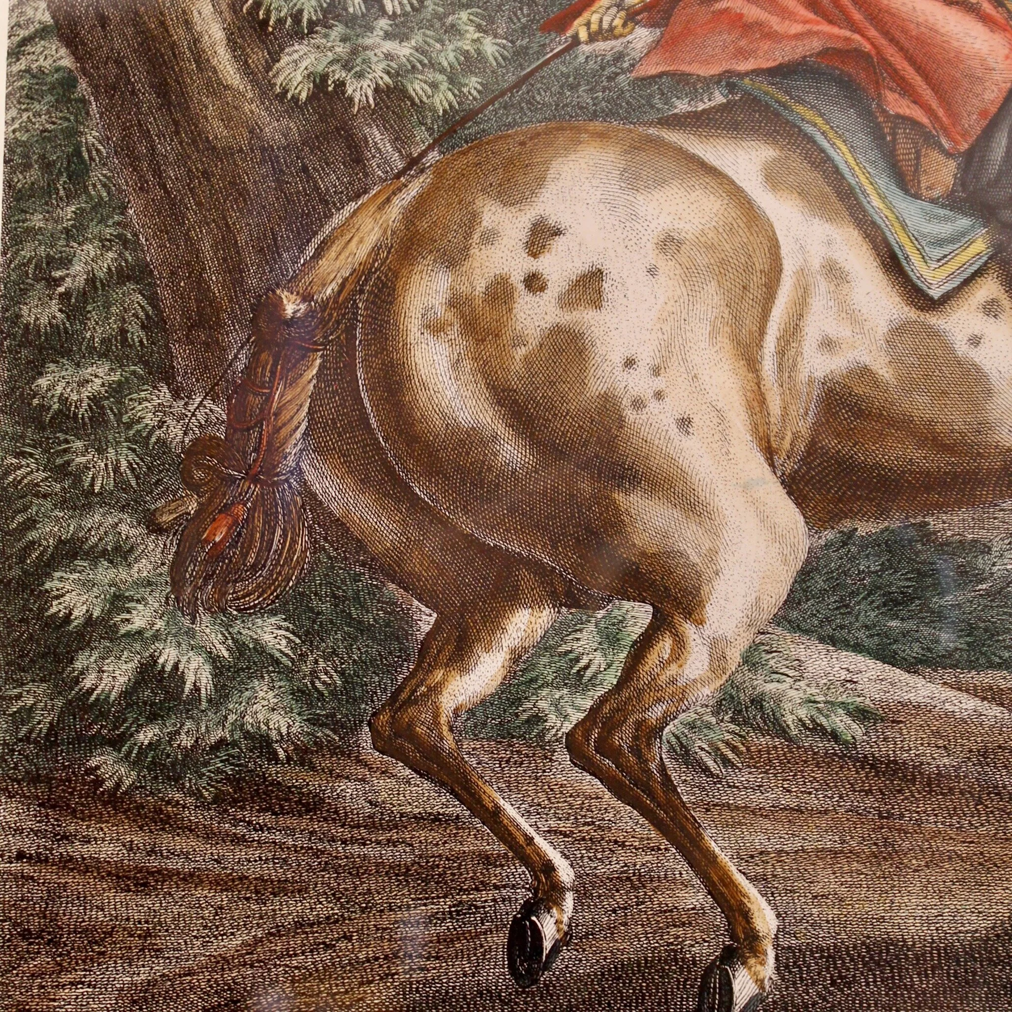 “Pallotade,” Large Equestrian (Dressage) Engraving,  Elias Ridinger