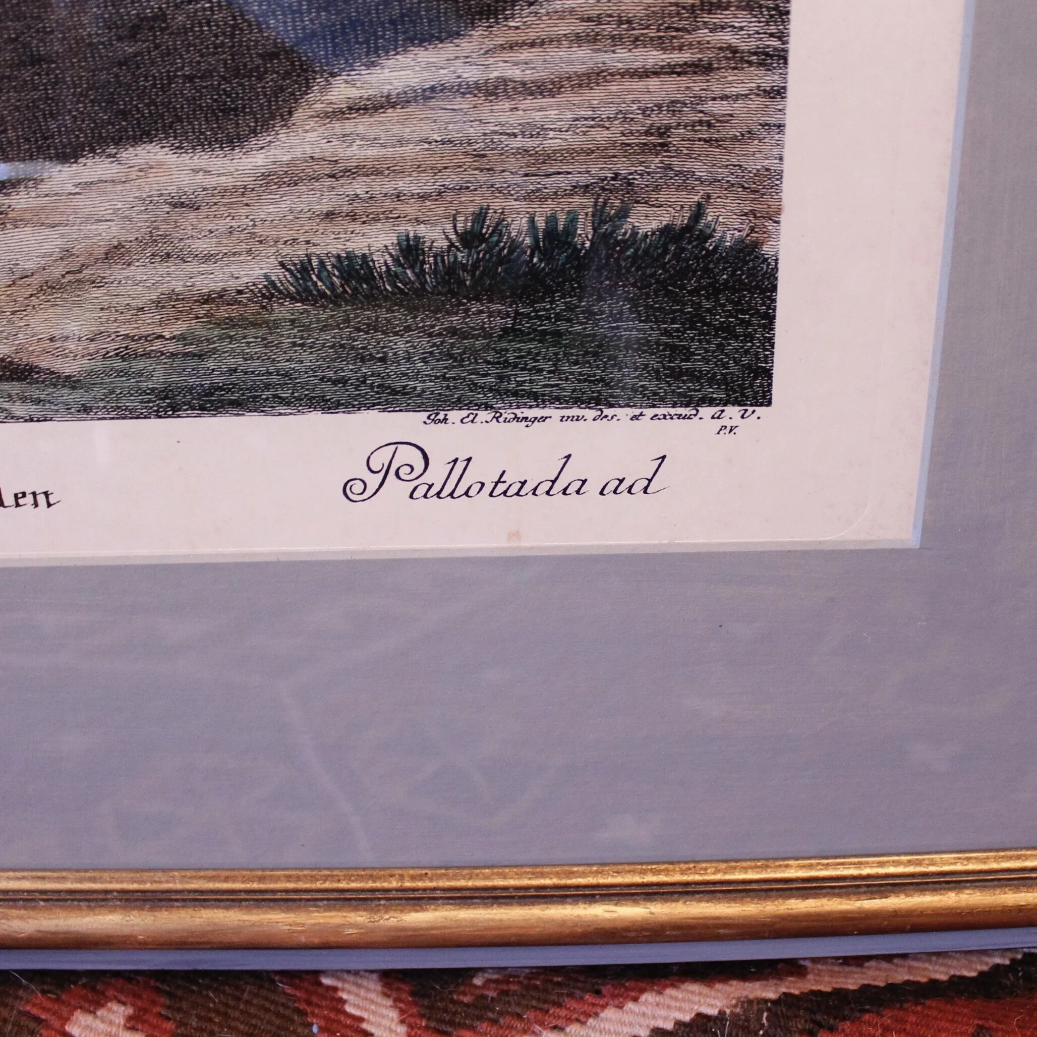 “Pallotade,” Large Equestrian (Dressage) Engraving,  Elias Ridinger