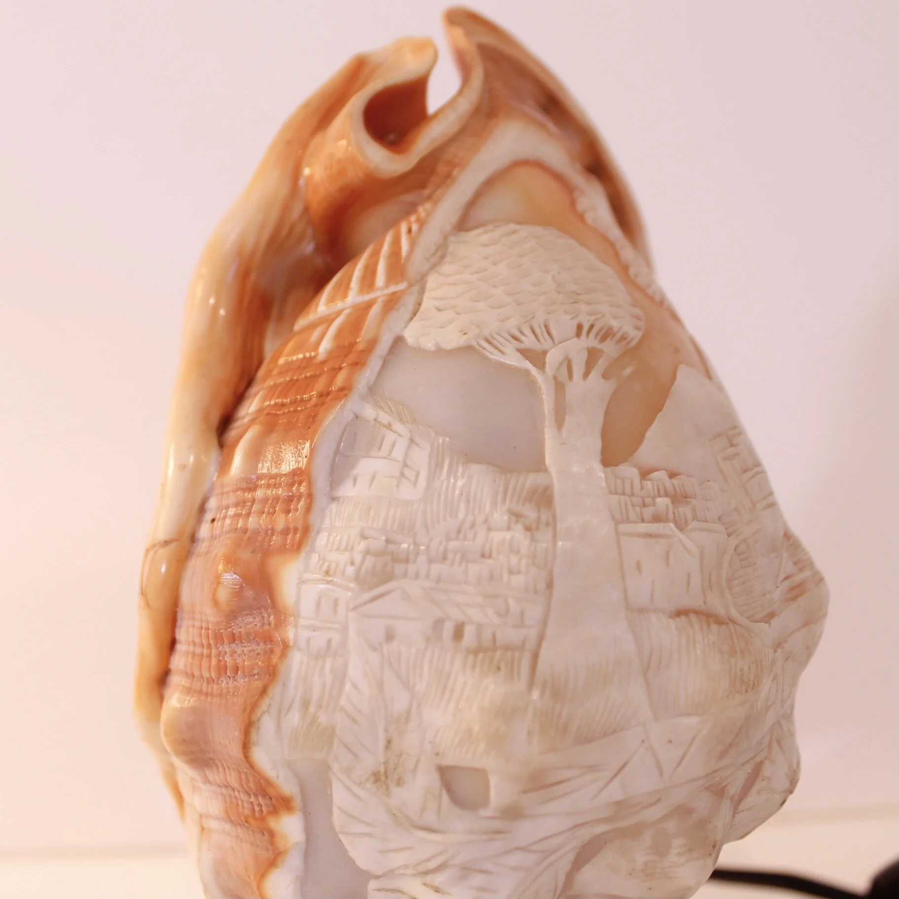 Neapolitan Cameo Carved Conch Shell (Lamp)