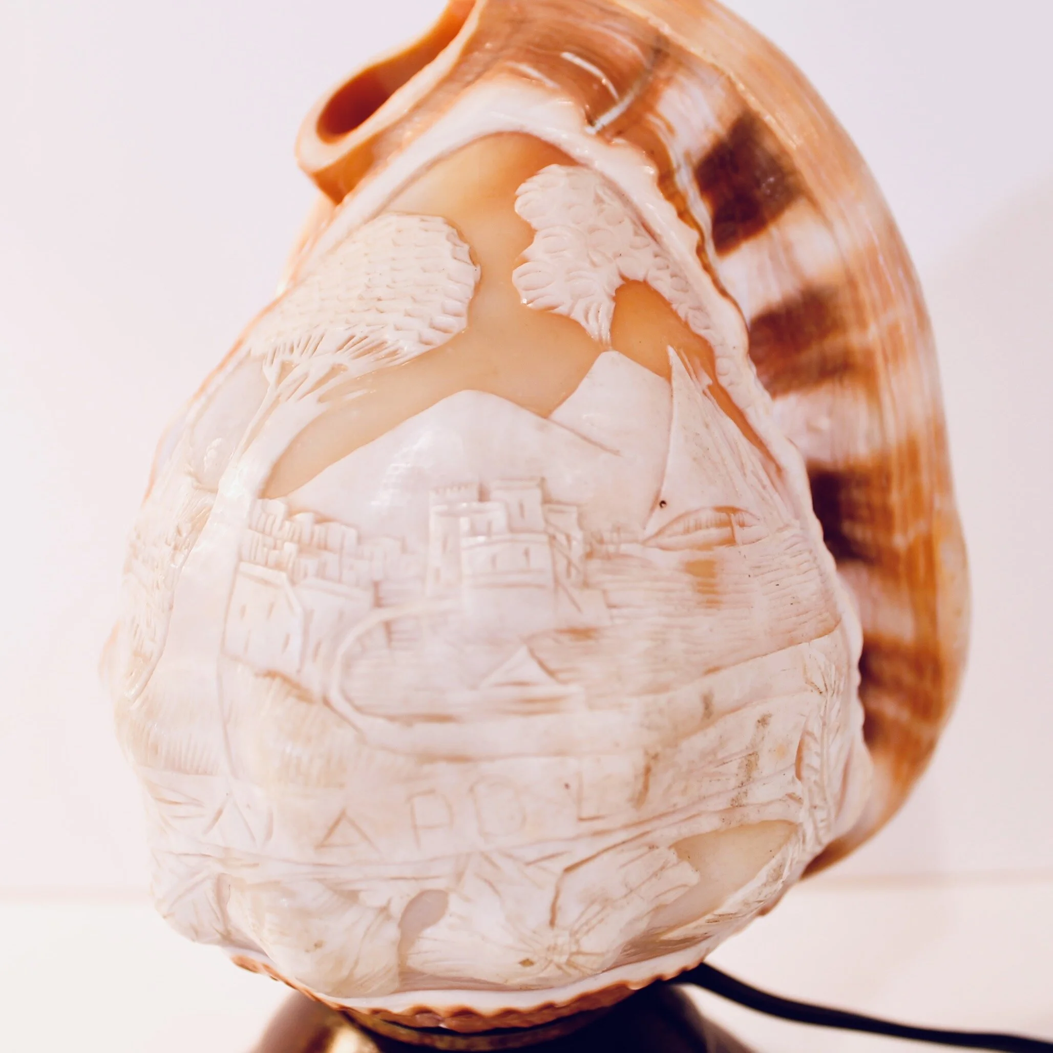 Neapolitan Cameo Carved Conch Shell (Lamp)
