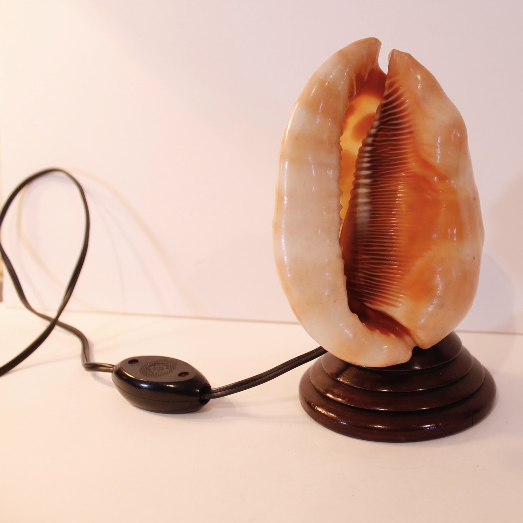 Neapolitan Cameo Carved Conch Shell (Lamp)