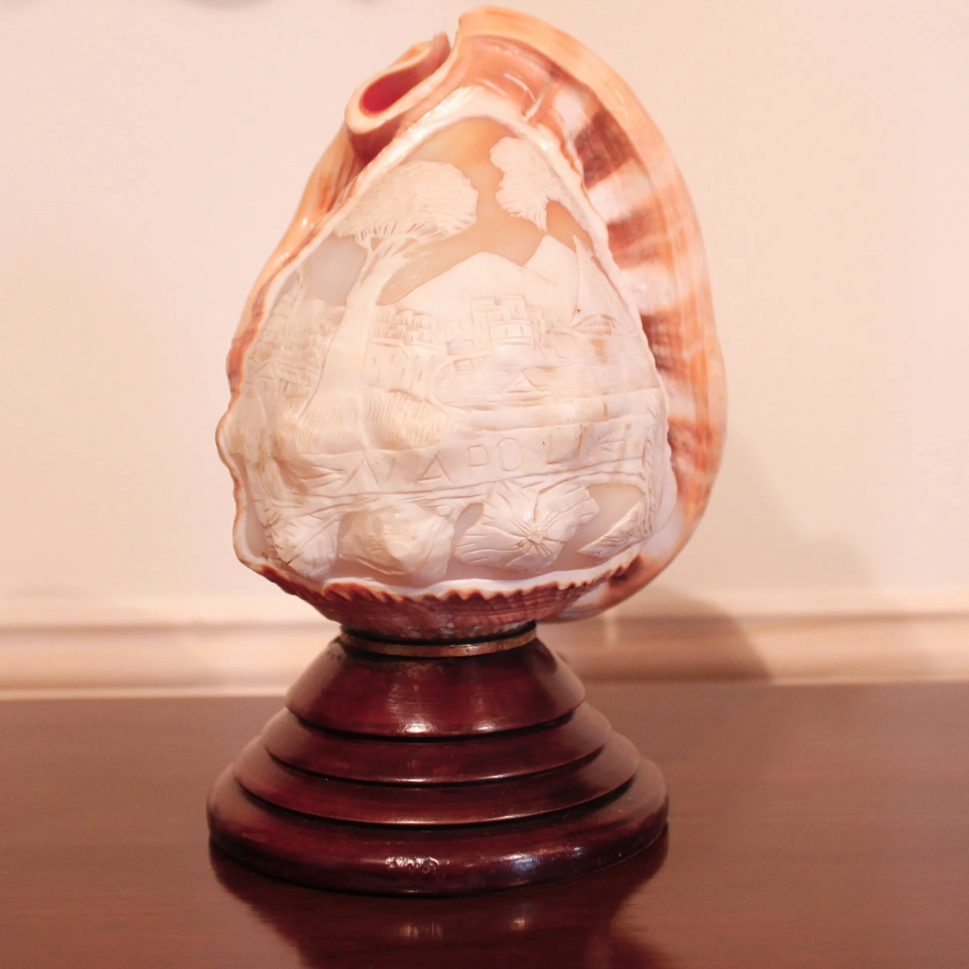 Neapolitan Cameo Carved Conch Shell (Lamp)