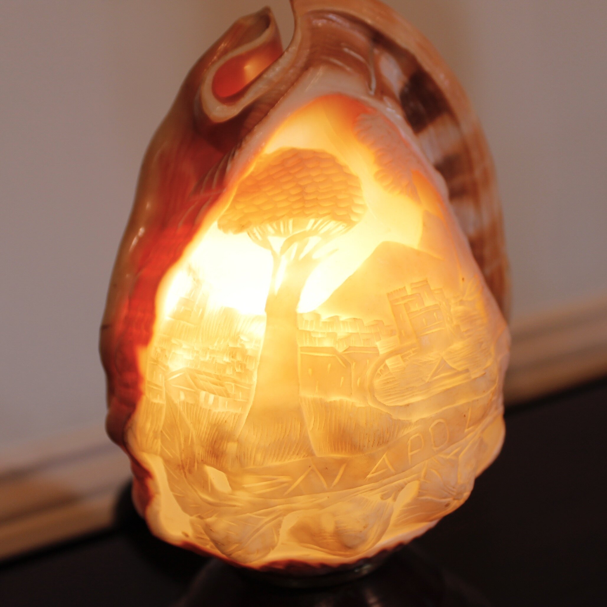 Neapolitan Cameo Carved Conch Shell (Lamp)