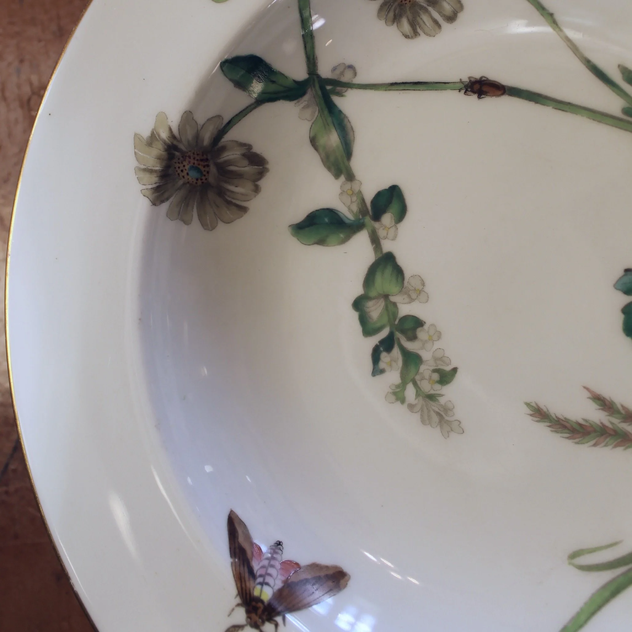 Set of 16 Minton Fine Porcelain Dishes with Botanical Decoration, 19th Century