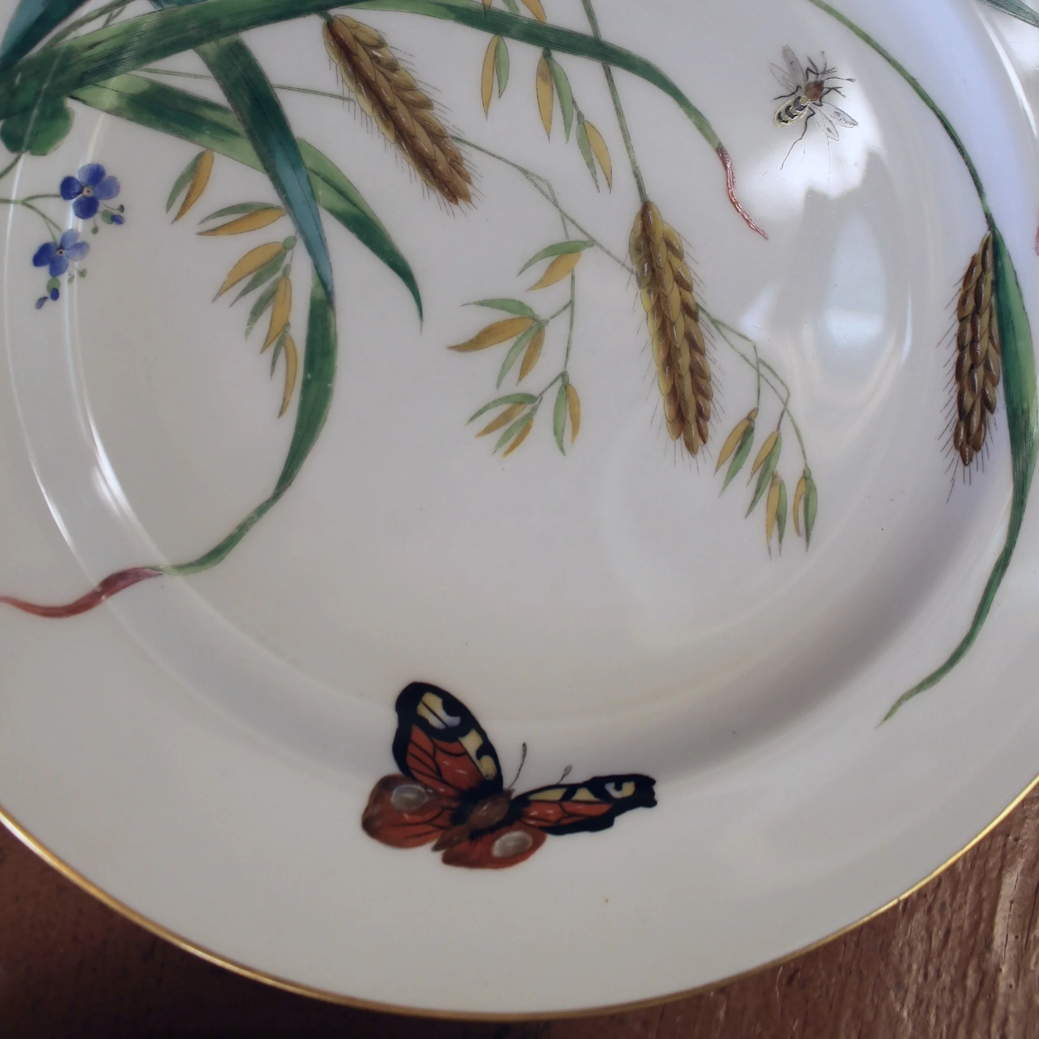 Set of 16 Minton Fine Porcelain Dishes with Botanical Decoration, 19th Century