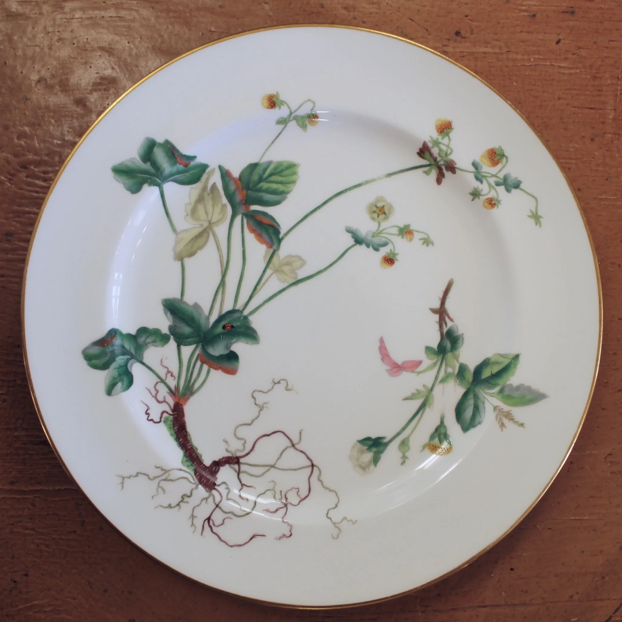 Set of 16 Minton Fine Porcelain Dishes with Botanical Decoration, 19th Century