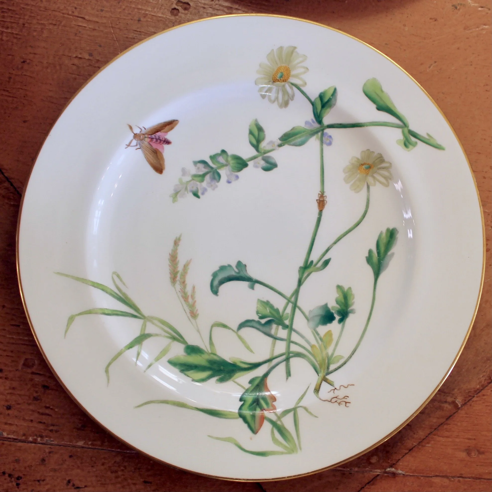 Set of 16 Minton Fine Porcelain Dishes with Botanical Decoration, 19th Century