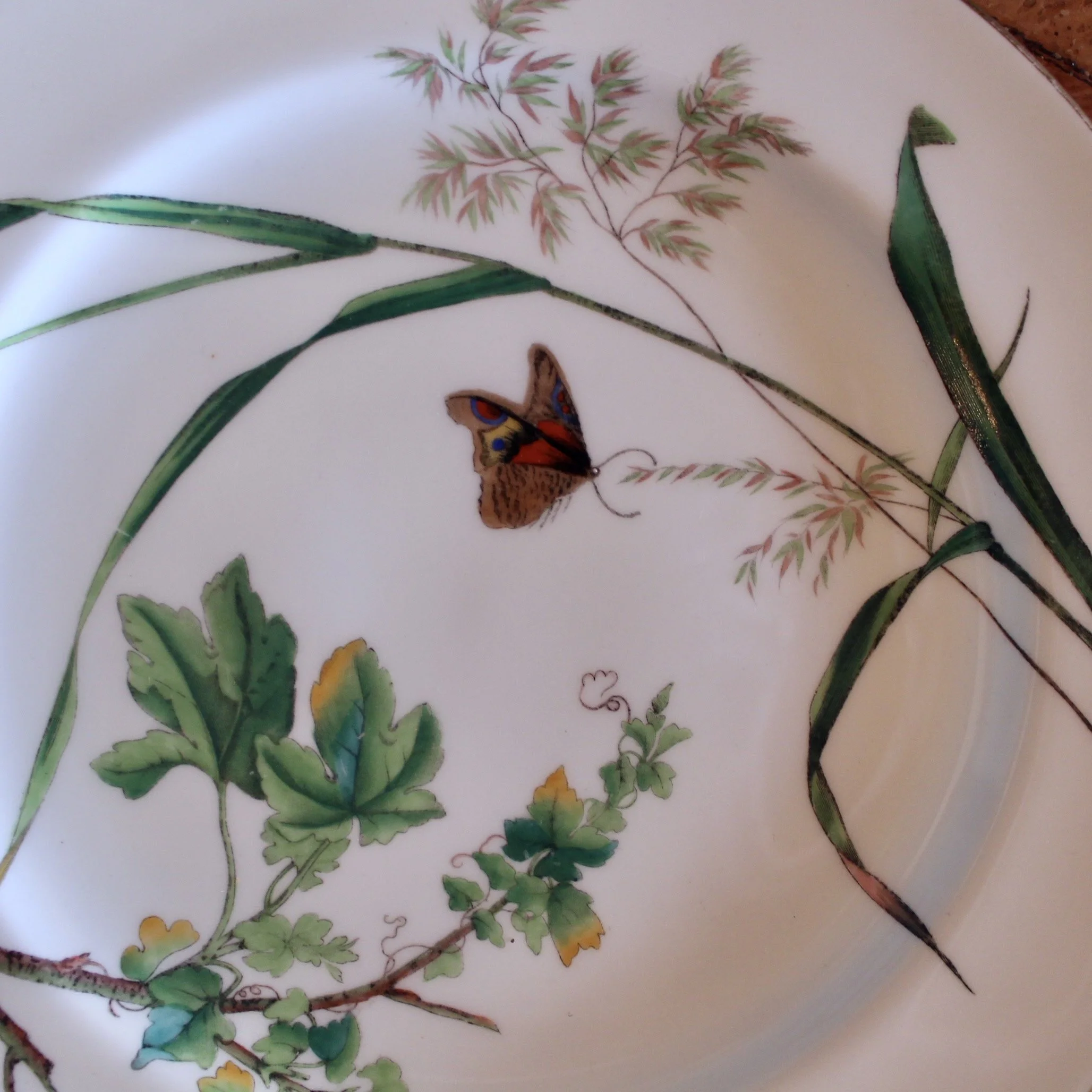 Set of 16 Minton Fine Porcelain Dishes with Botanical Decoration, 19th Century