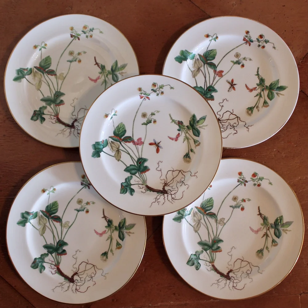 MIRABELLE ANTIQUES | Antiques Charlottesville, VA— Set of 16