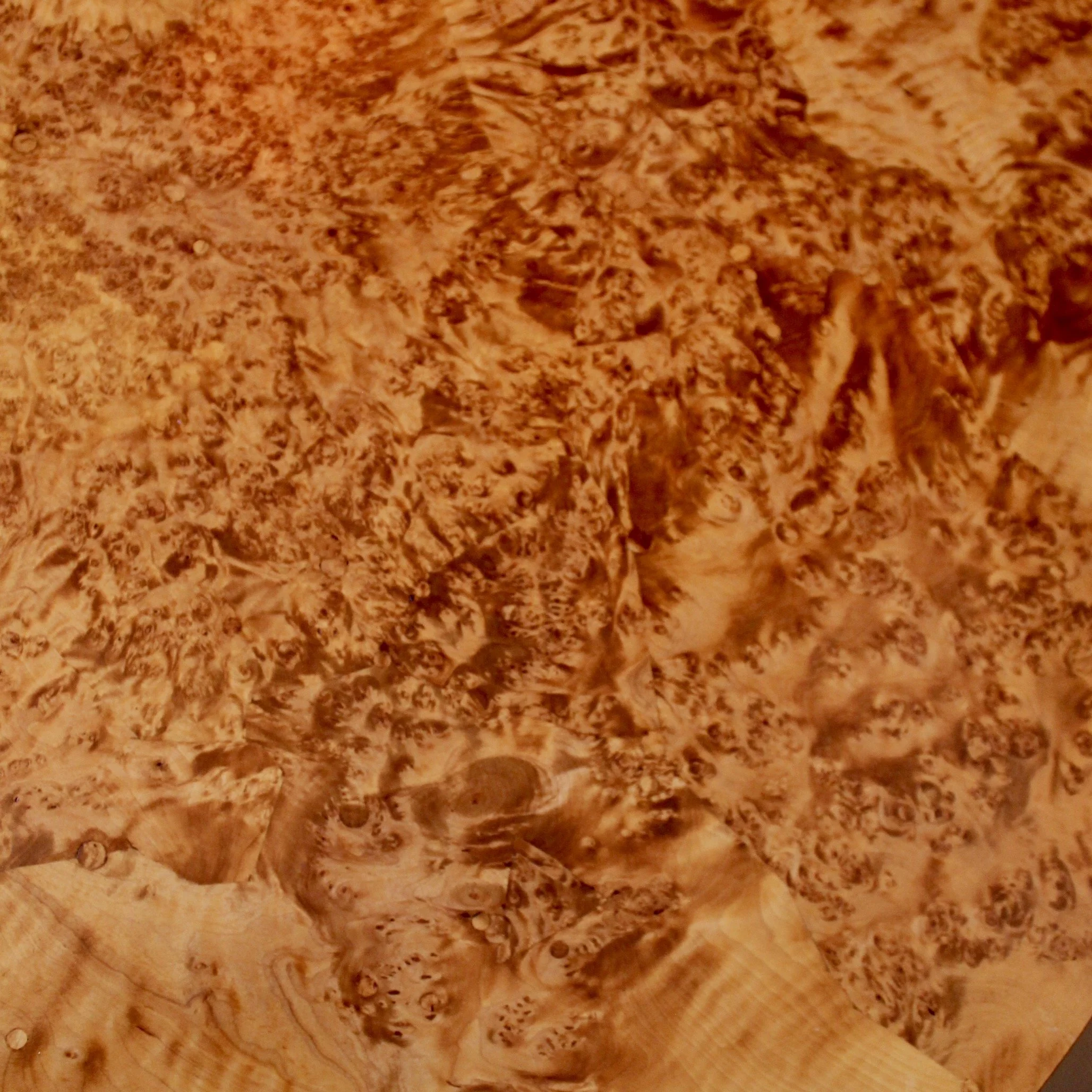 Swedish (Gustavian) Alder Root Burl Wood Tilt Top Table