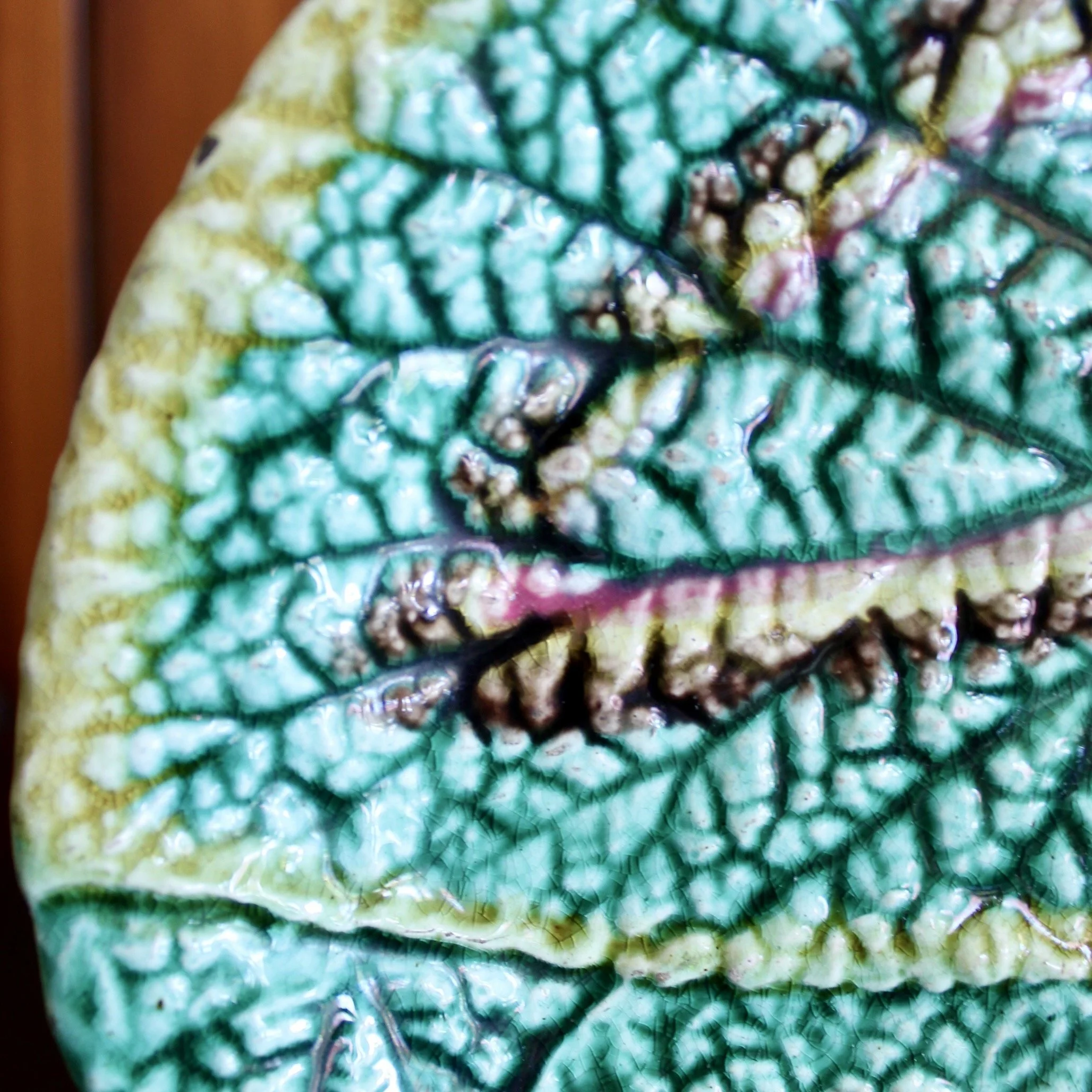 Pair of Round Begonia English Majolica Plates