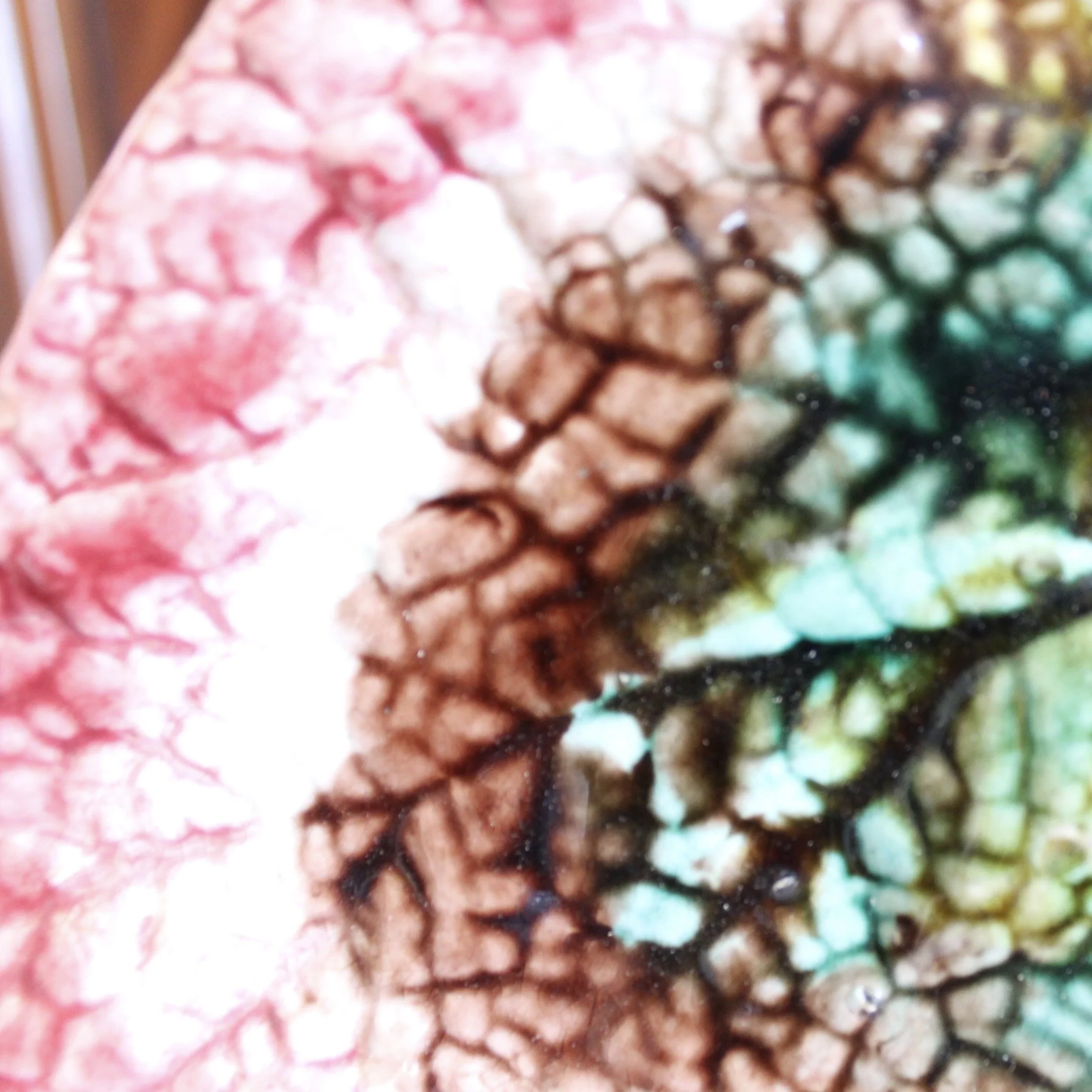 Begonia Leaf English Majolica Plate