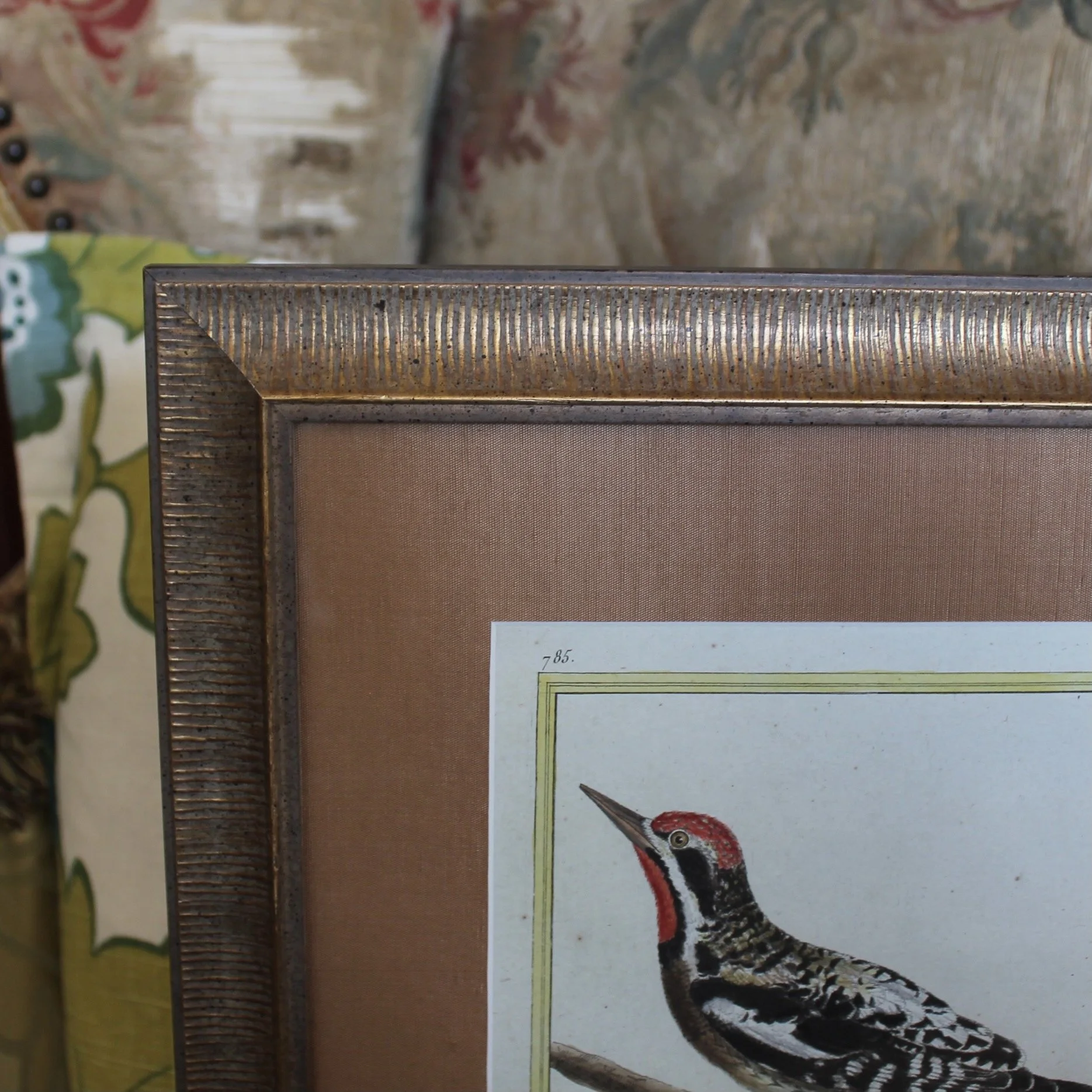 Set of Four Copperplate Engravings of Birds  by François Martinet