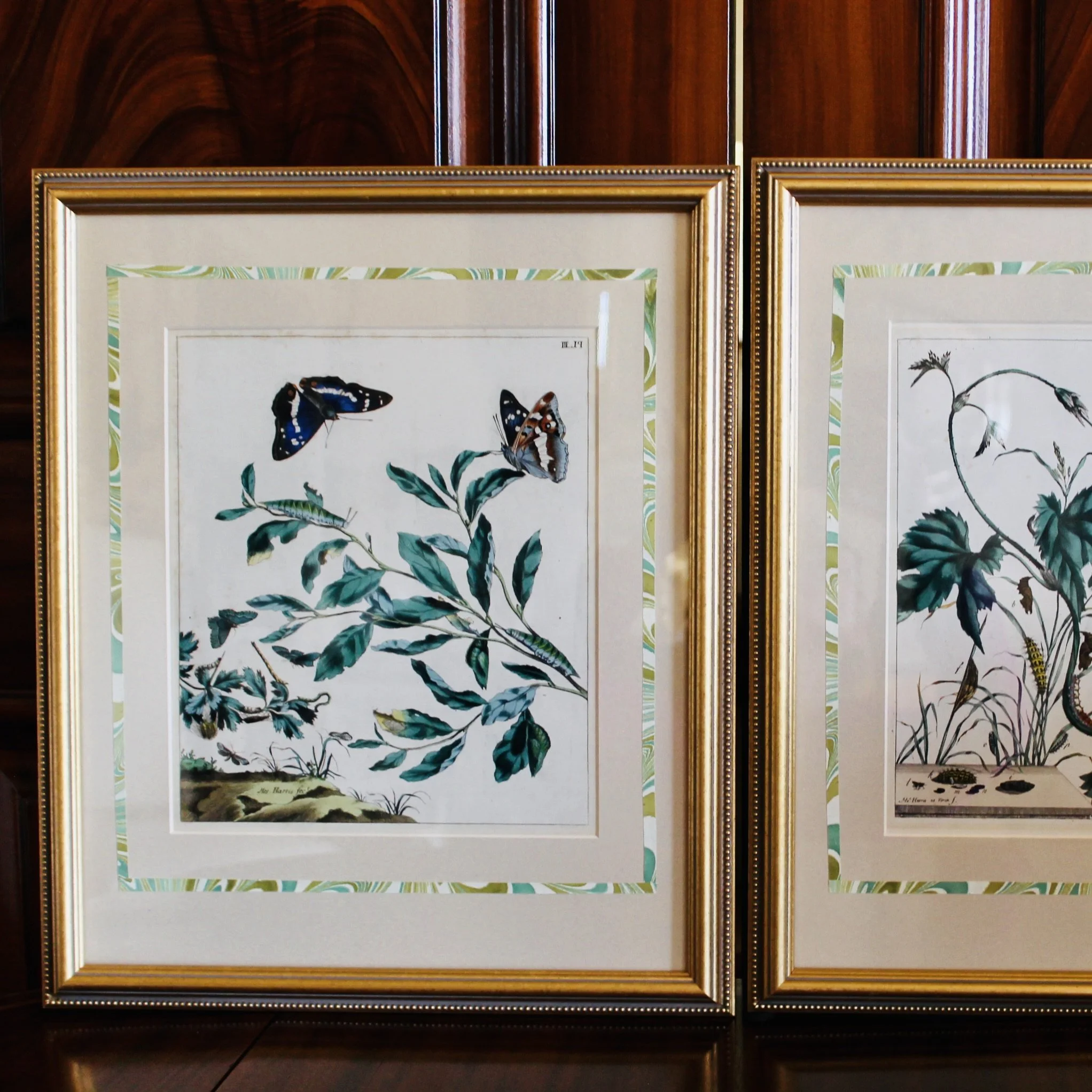 Pair of Rare Moses Harris Hand Colored Butterfly Engravings