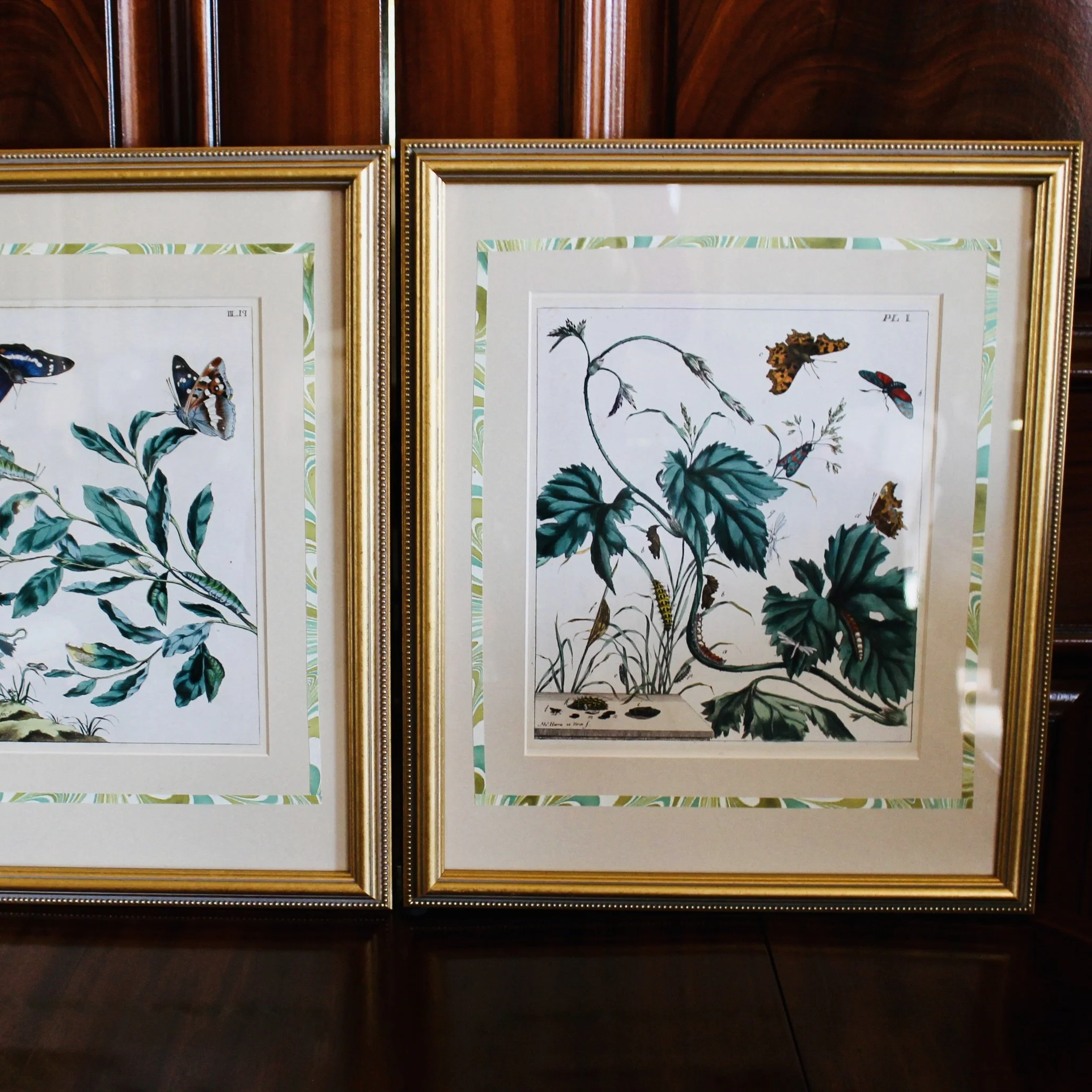 Pair of Rare Moses Harris Hand Colored Butterfly Engravings