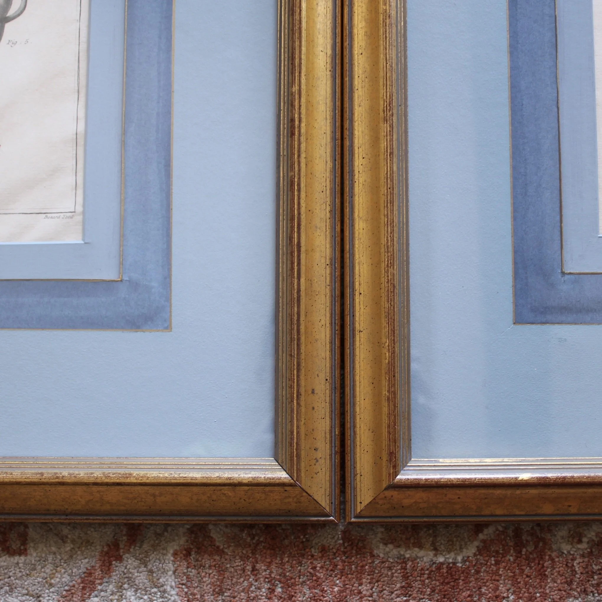 Antique French Engravings of Horse Bits