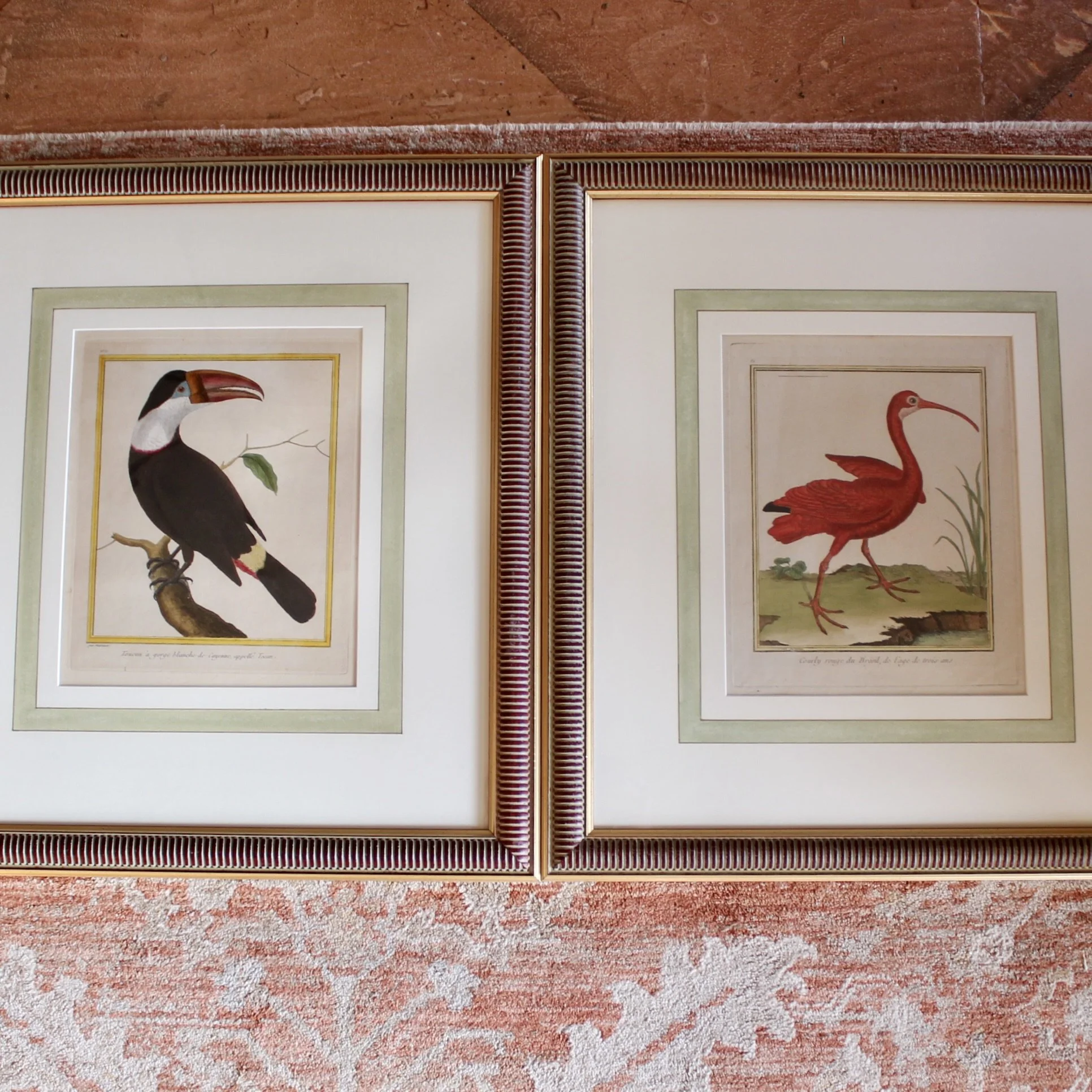 Copperplate Engravings of Birds by François Martinet