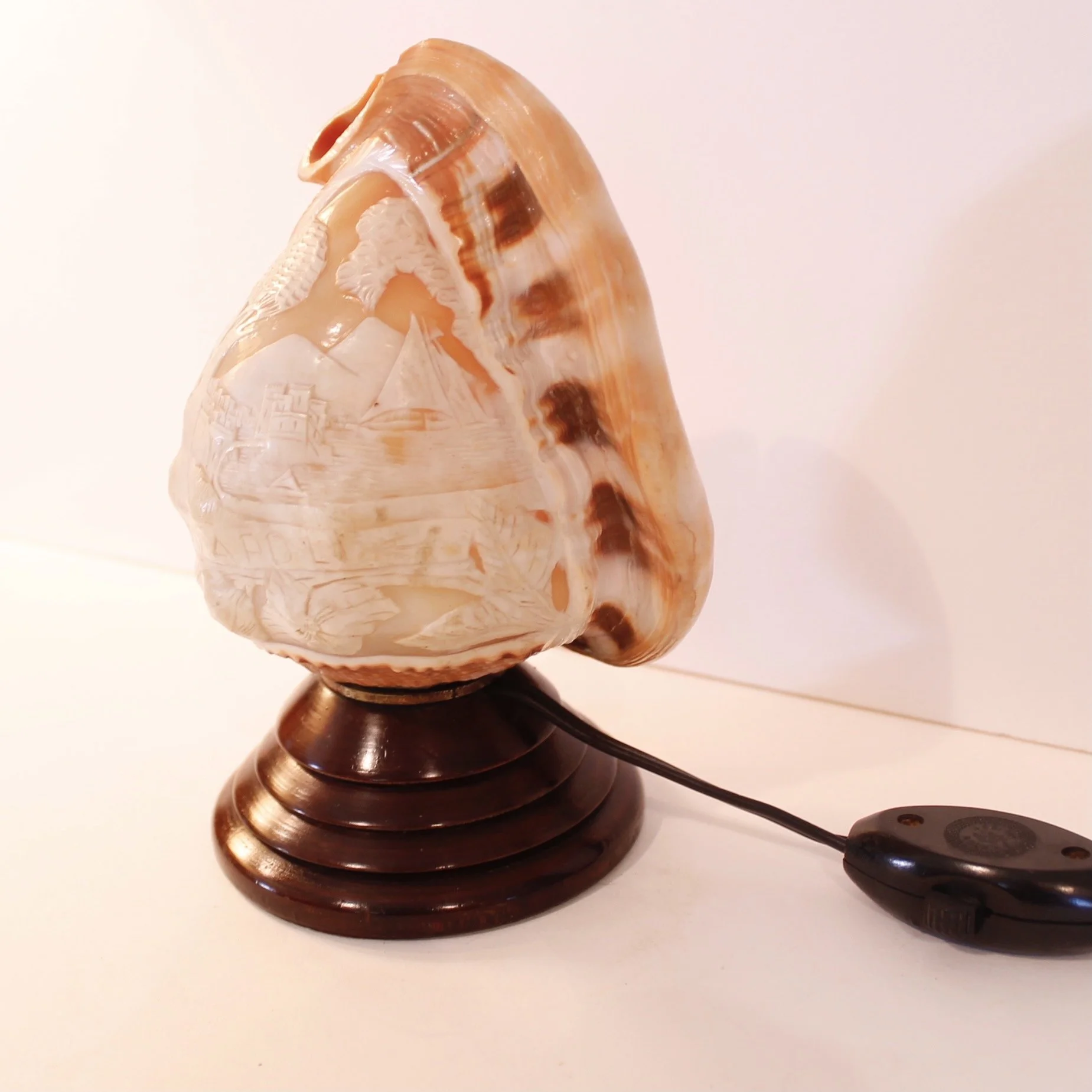 Cameo Carved Italian Conch Shell (Lamp)