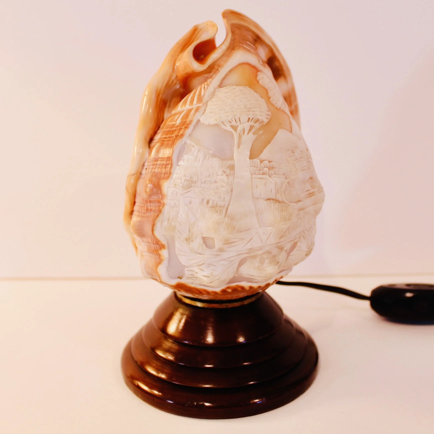 Cameo Carved Italian Conch Shell (Lamp)