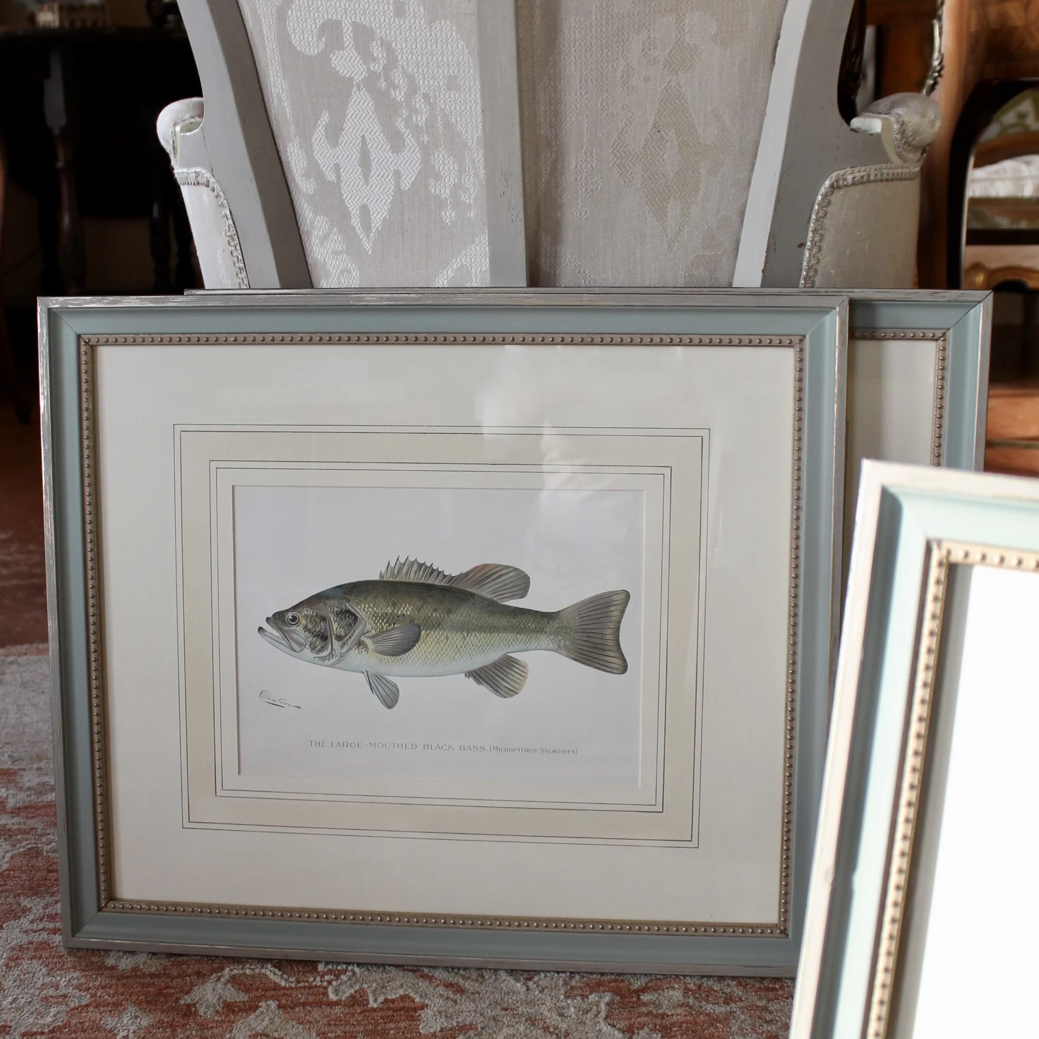 S. F. Denton American Fish Prints- set of 6