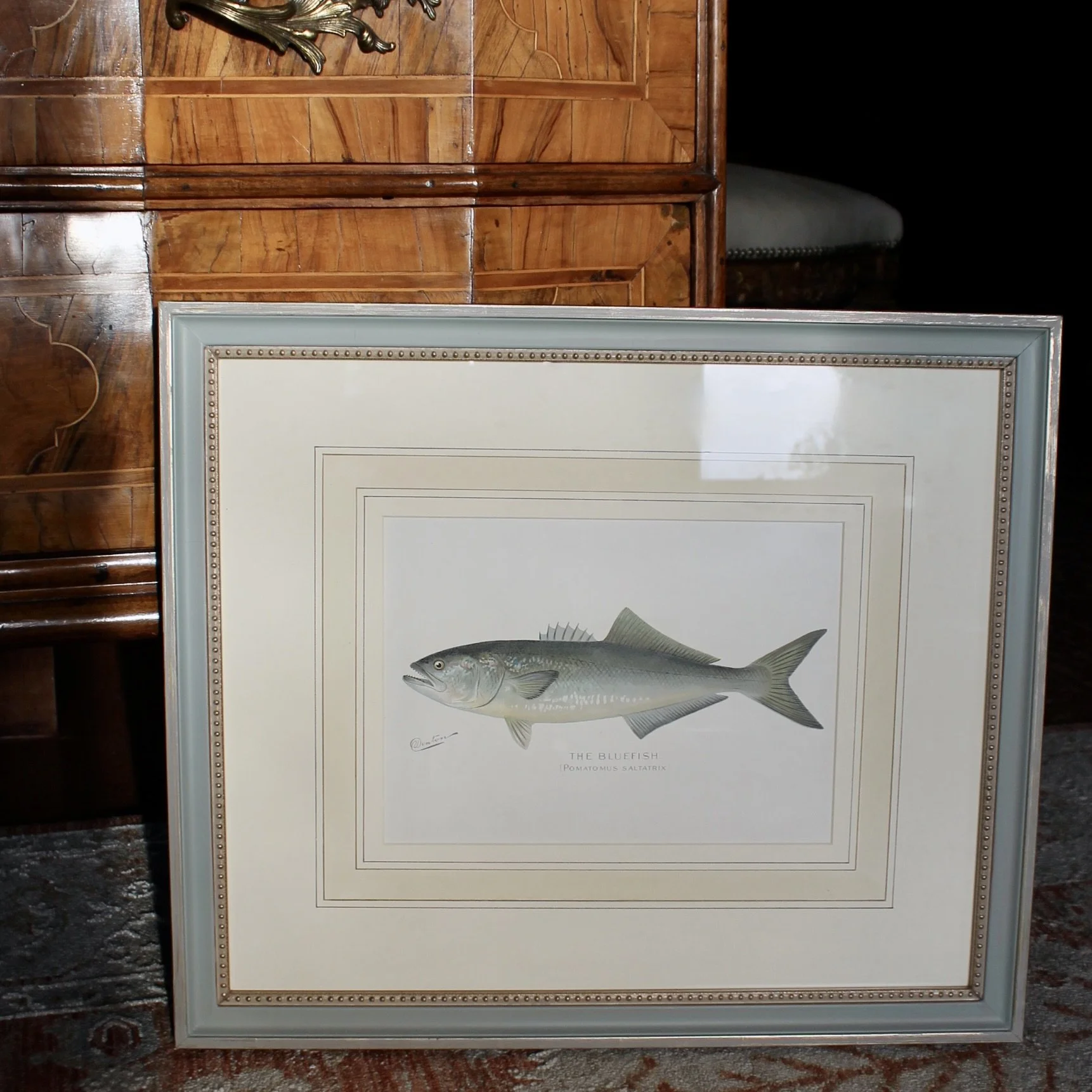 S. F. Denton American Fish Prints- set of 6