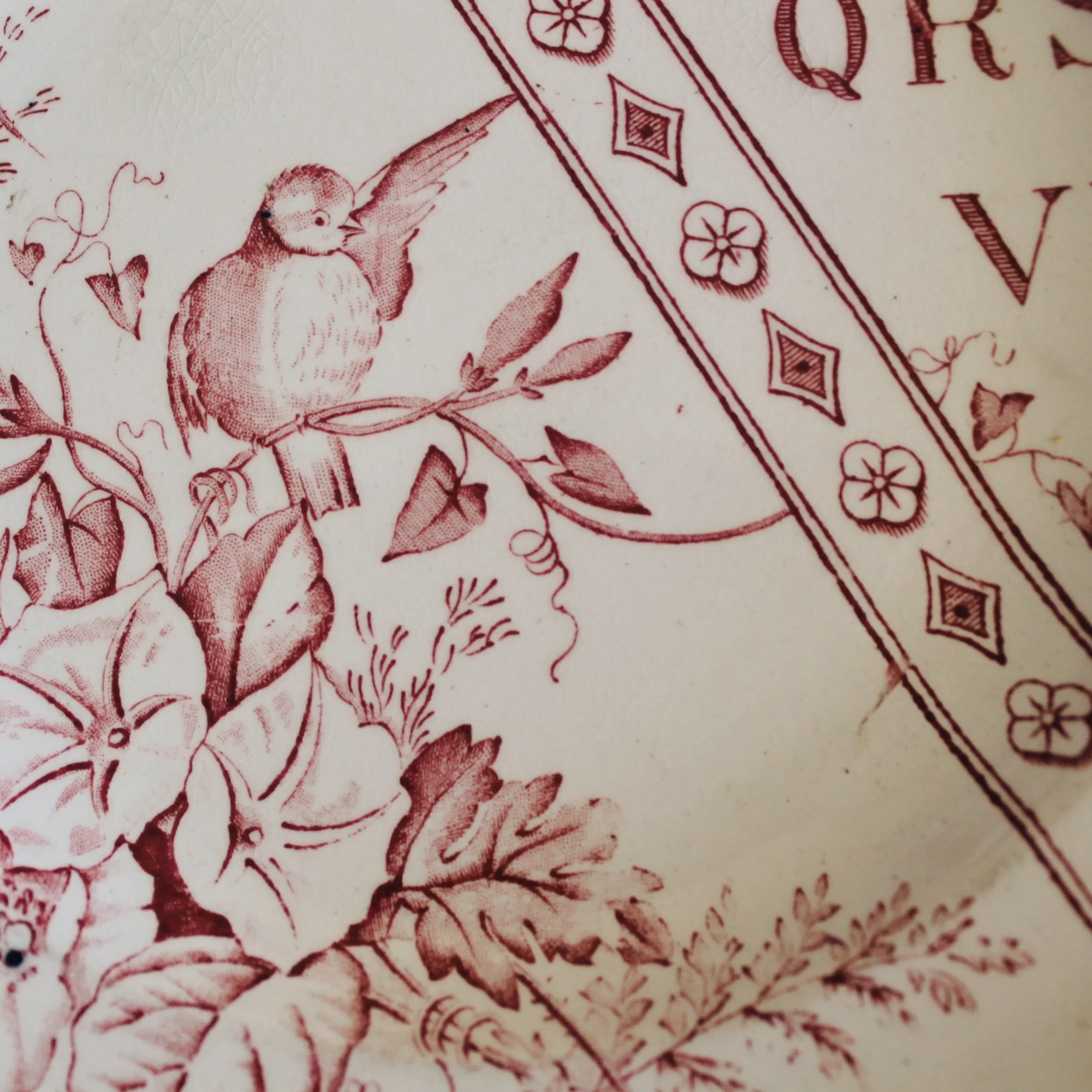 Antique Staffordshire Collector’s Alphabet Plates- a Trio