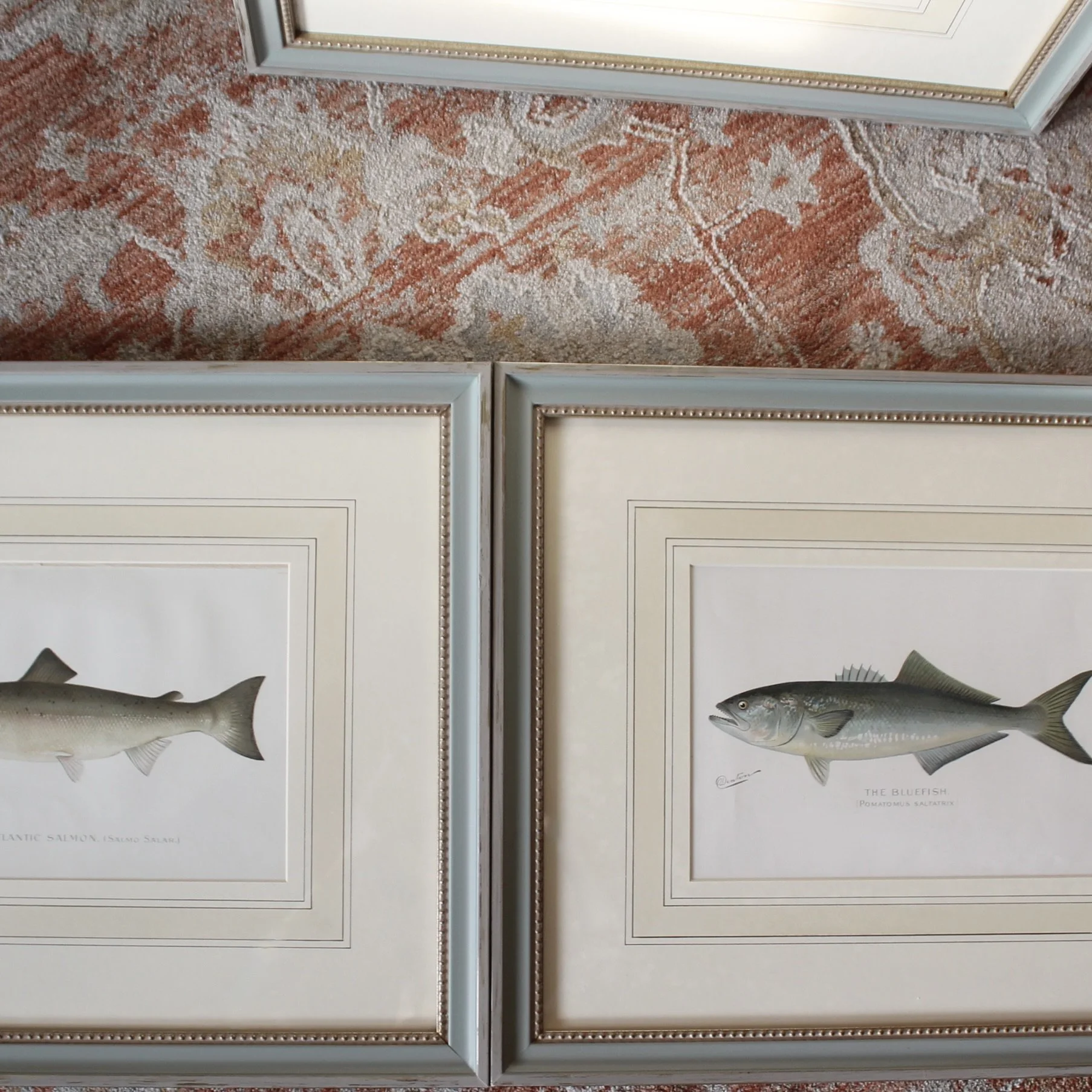 S. F. Denton American Fish Prints- set of 6