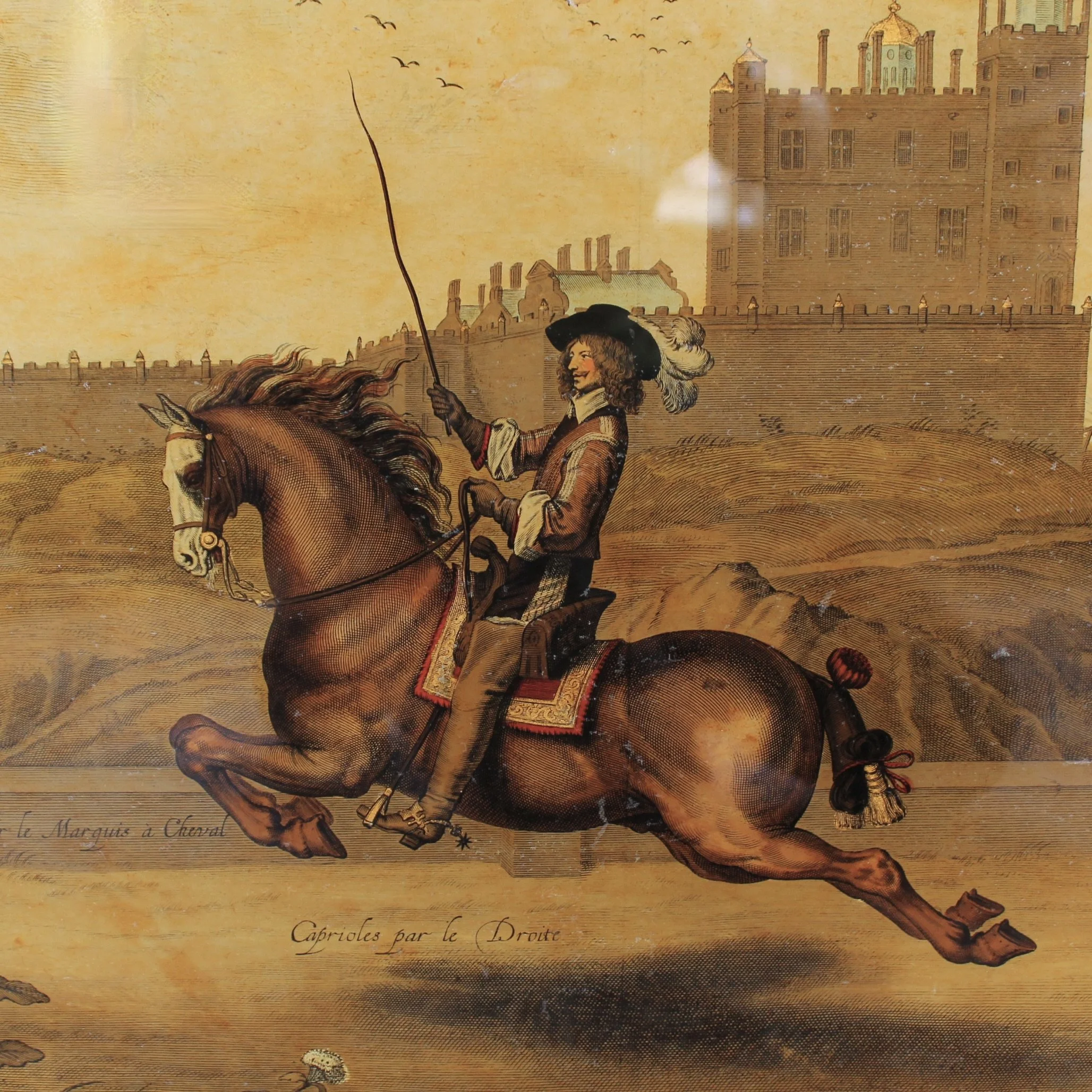 Abraham van Diepenbeeck, William Cavendish Dressage engravings