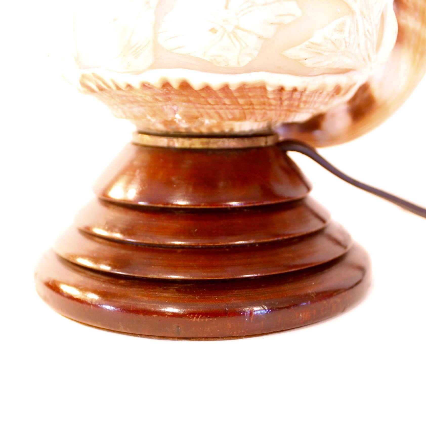 Cameo Carved Italian Conch Shell (Lamp)