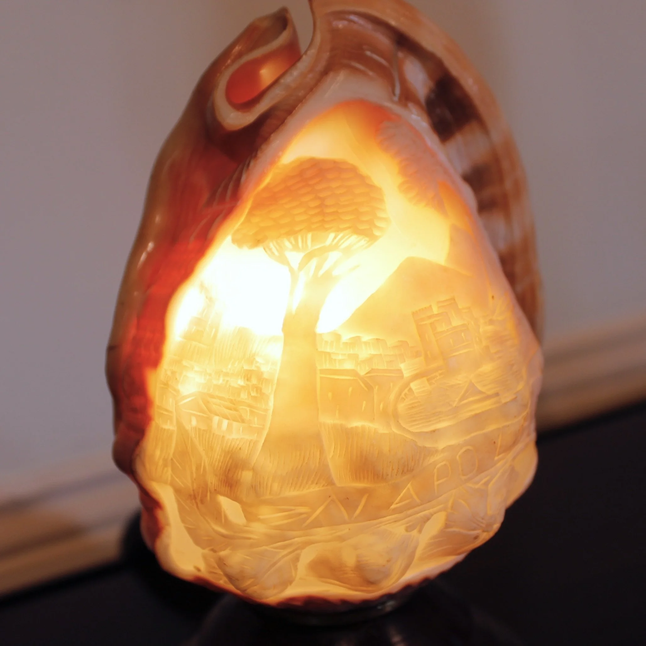 Cameo Carved Italian Conch Shell (Lamp)