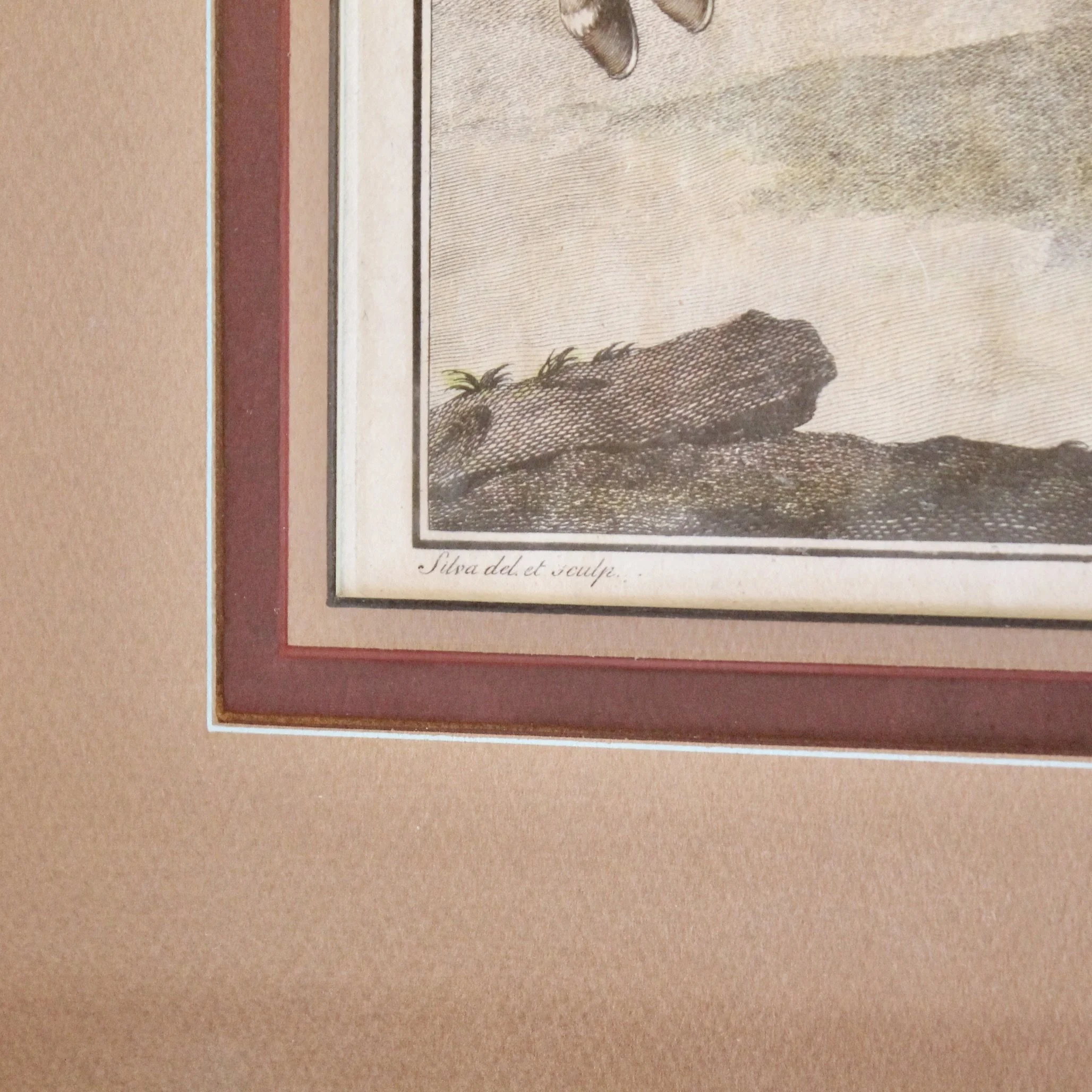 18th century Dressage Engravings, de Andrade, da Silva