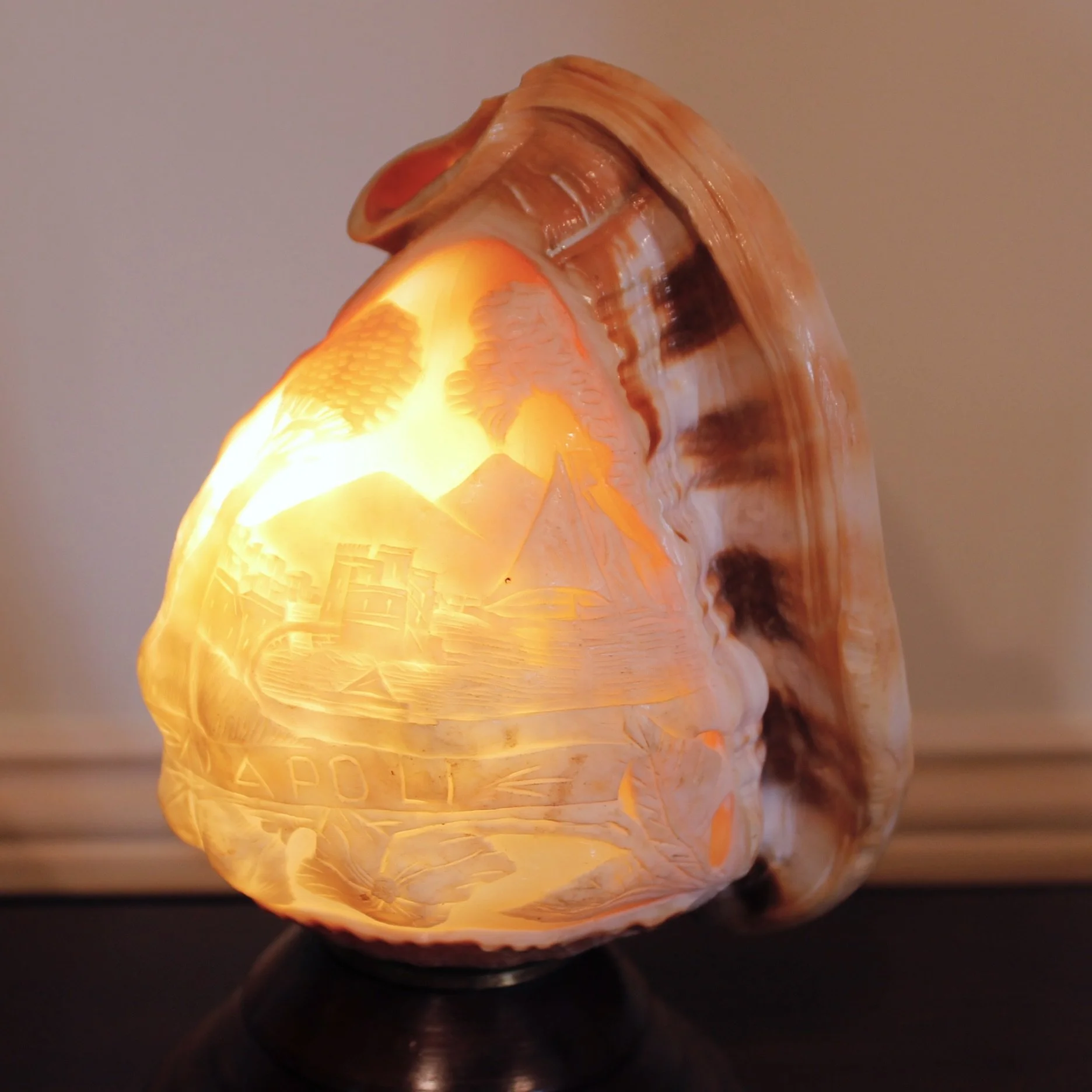 Cameo Carved Italian Conch Shell (Lamp)