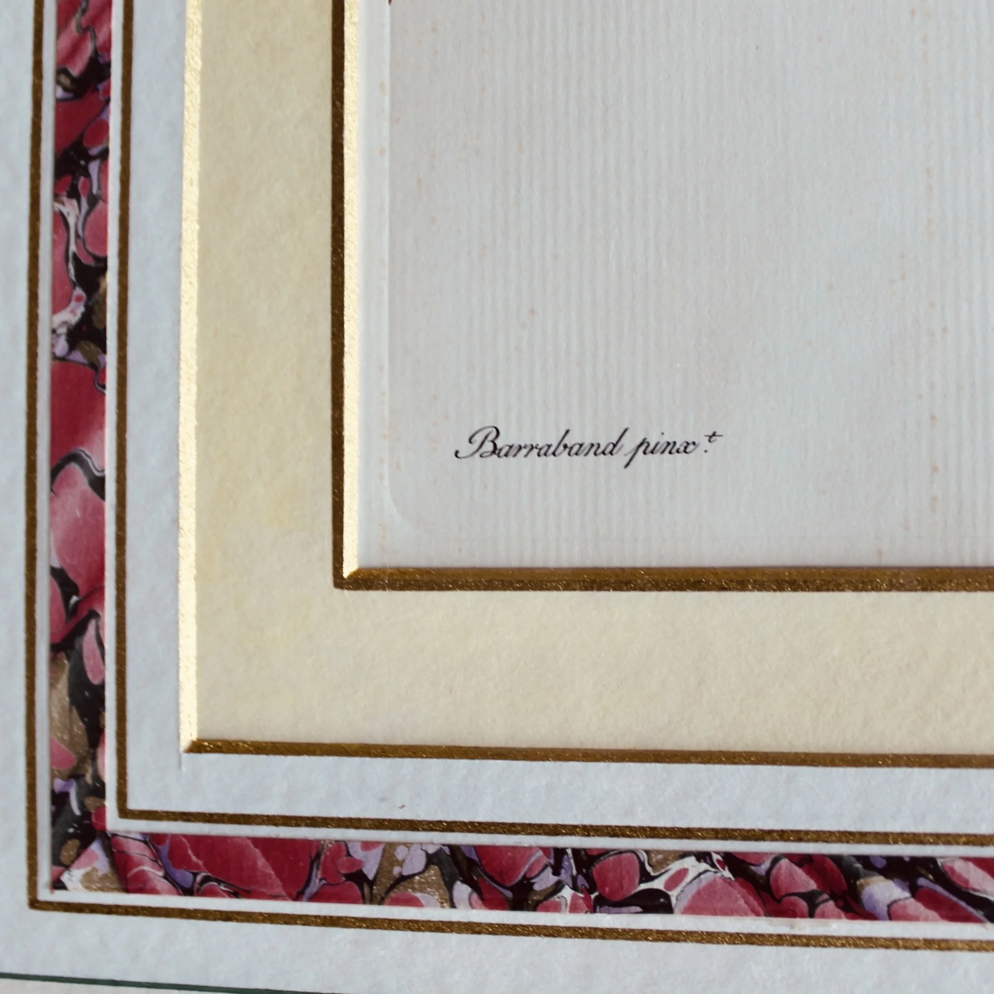 Pair of Parrot Prints by Jacques Barraband (François Levaillant) in Fine Frames