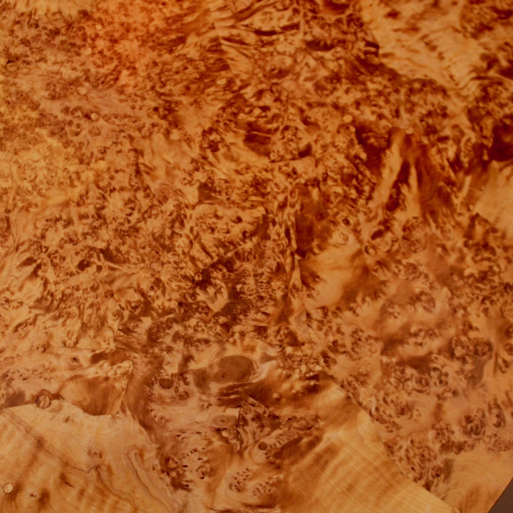 Swedish-Burl-Wood-Round-Tilt-Top-Table-Late-18th-century (3) detail