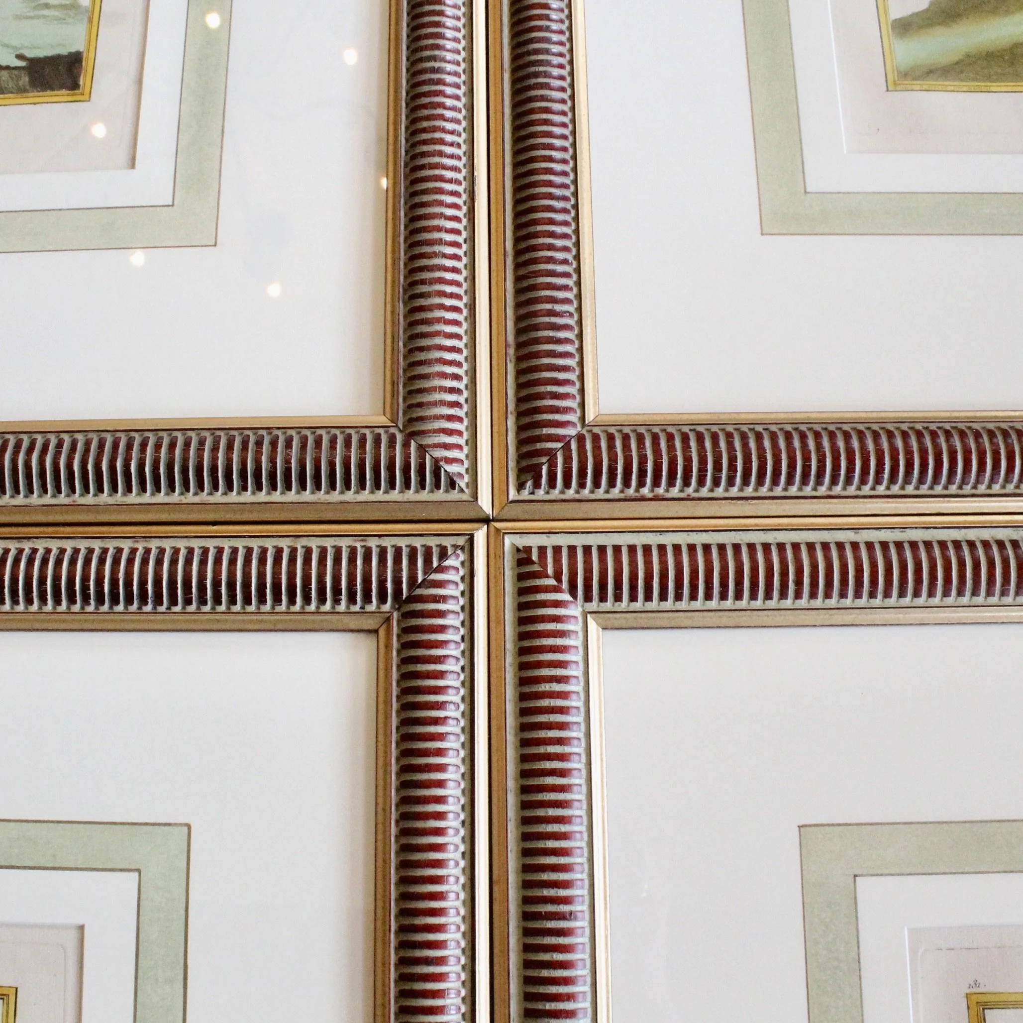 ngravings of Grouse by François-Nicolas Martinet,