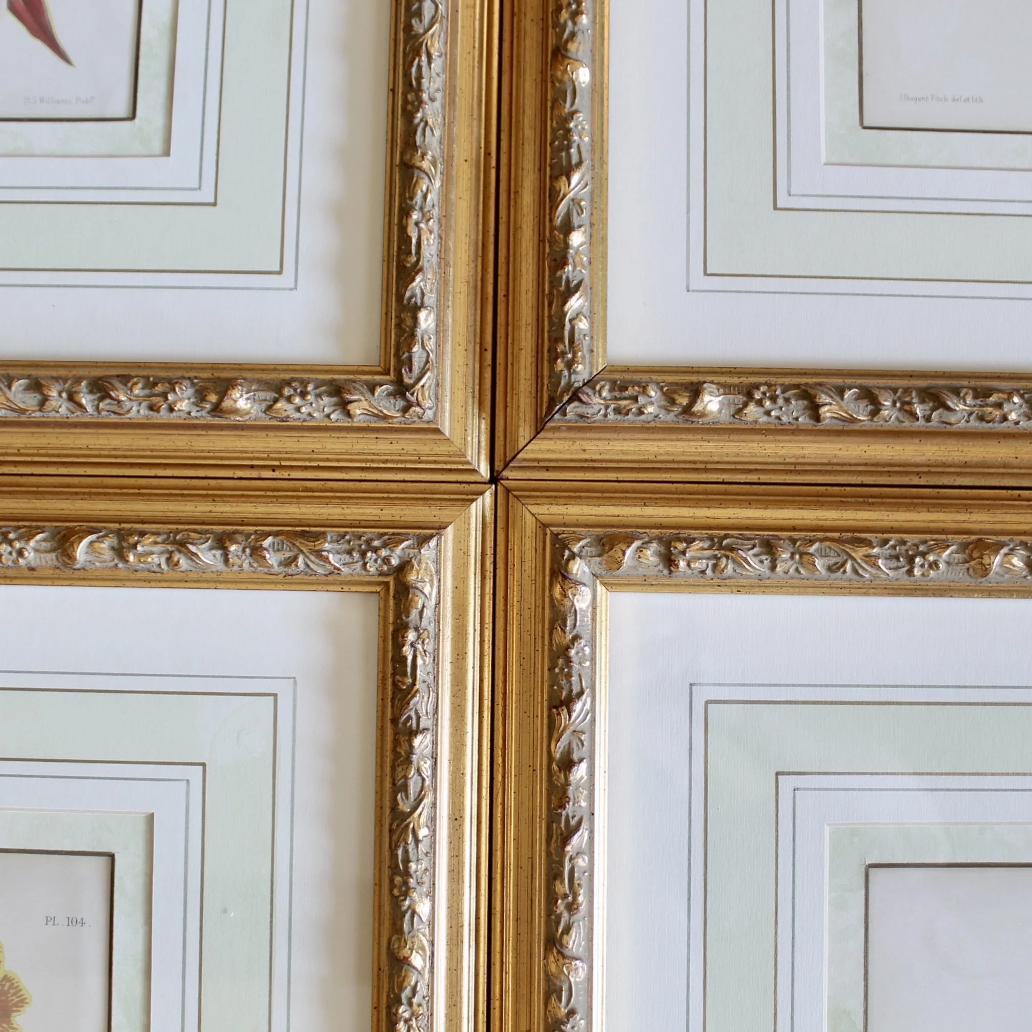 Orchid Lithographs, 19th Century, by John Nugent Fitch