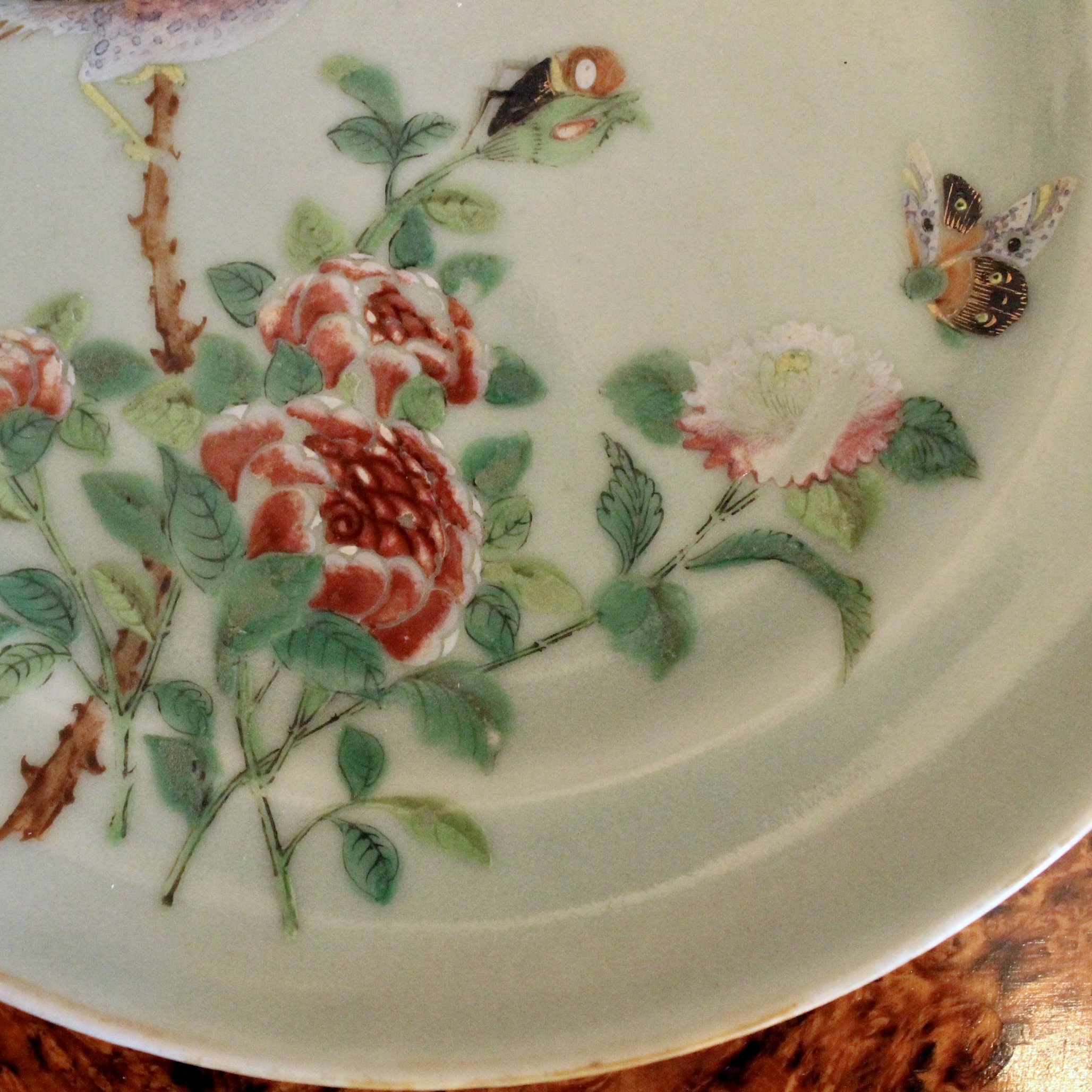 Celadon Porcelain Rose Canton Chinese Export Plates
