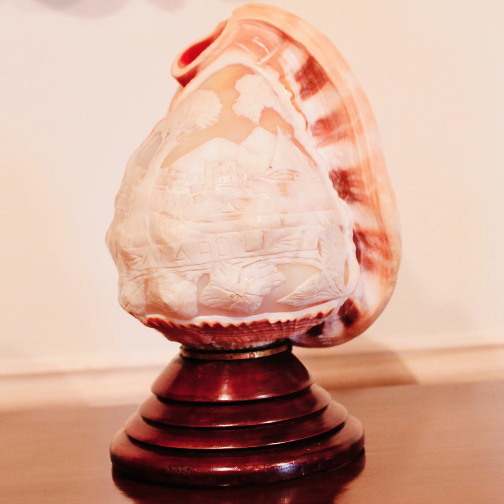 Cameo Carved Italian Conch Shell (Lamp)