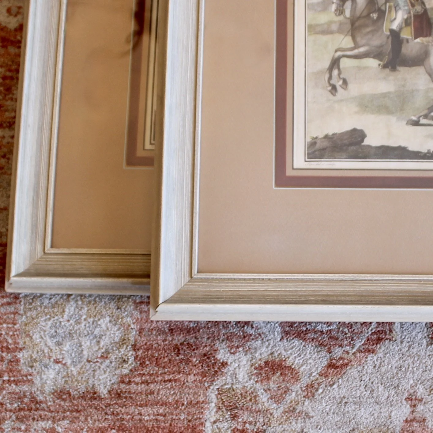 18th century Dressage Engravings, de Andrade, da Silva