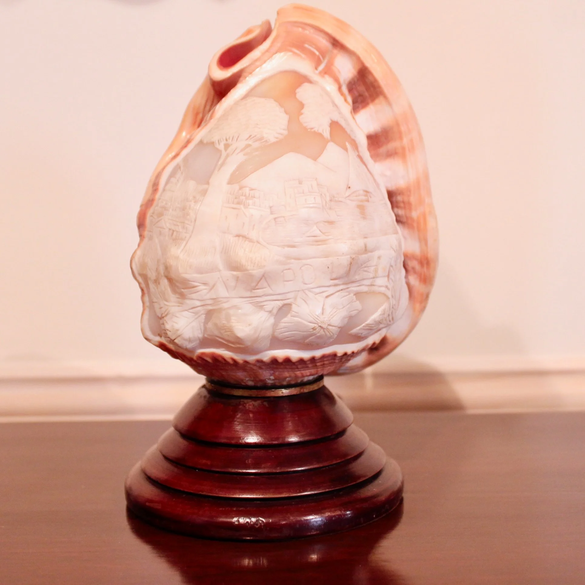 Cameo Carved Italian Conch Shell (Lamp)
