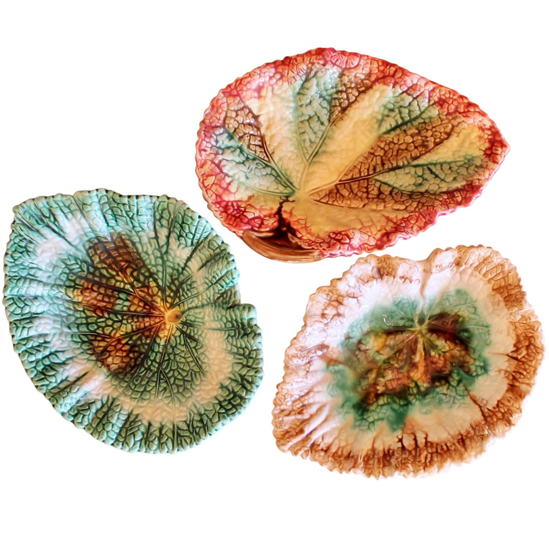 English Begonia Leaf Majolica