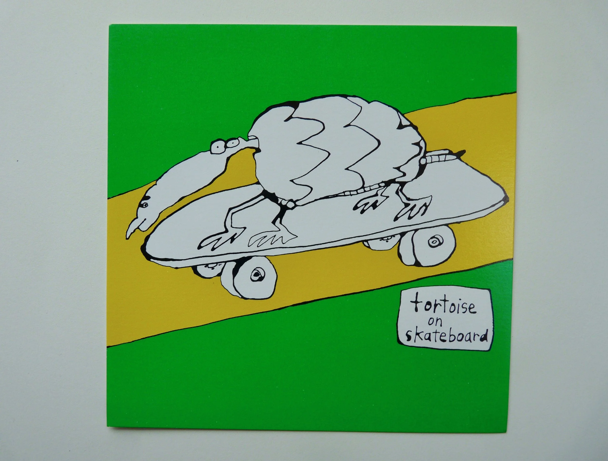 tortoise on a skateboard