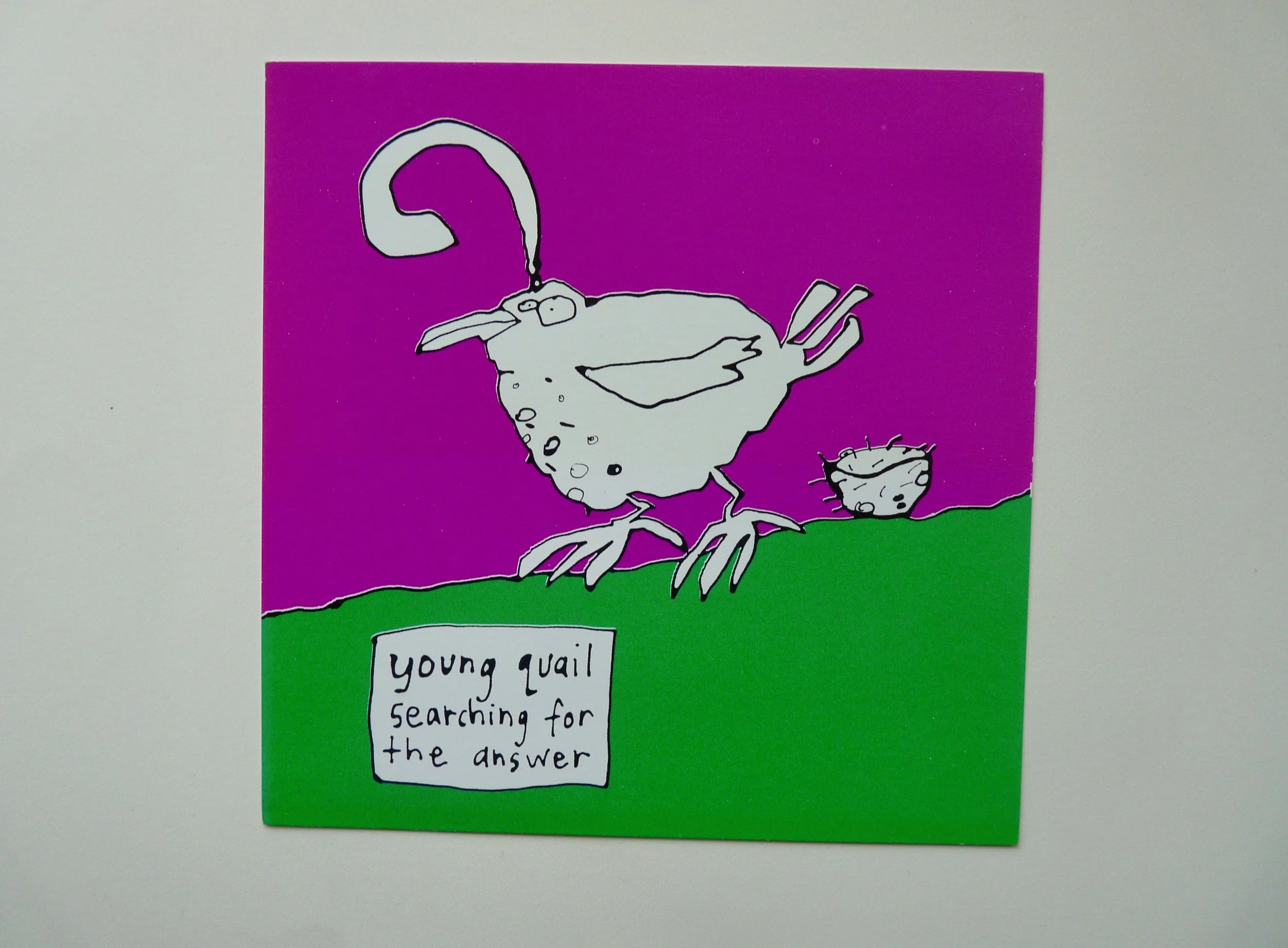 young quail searching for the answer