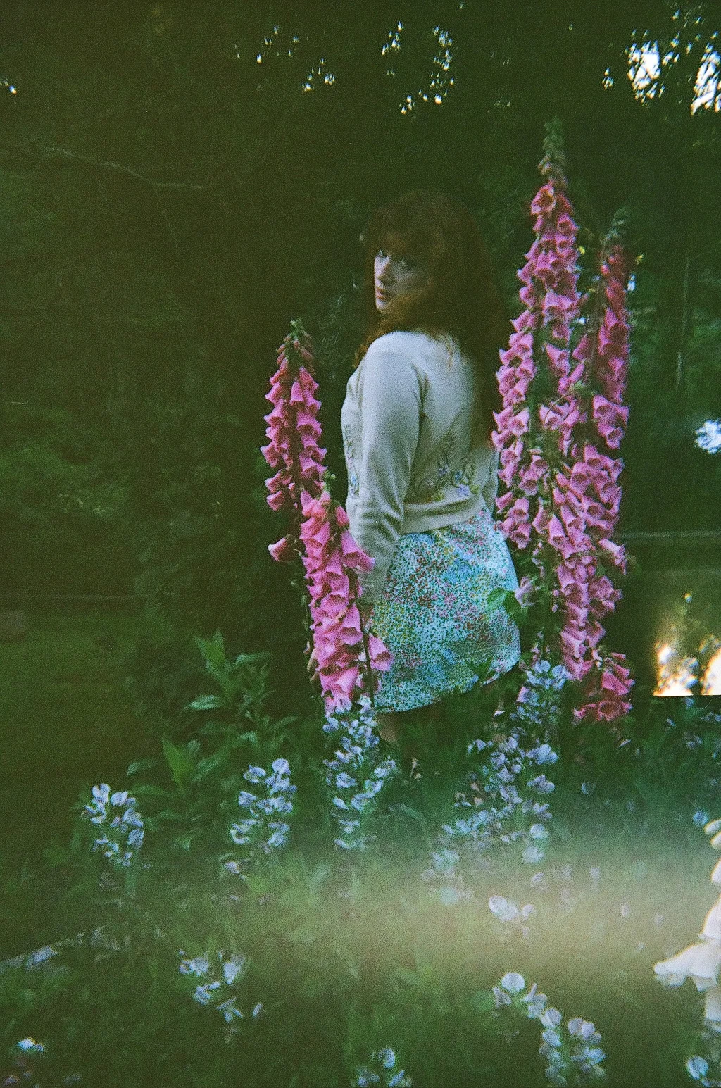 Valenti - FOXGLOVE 3.jpg