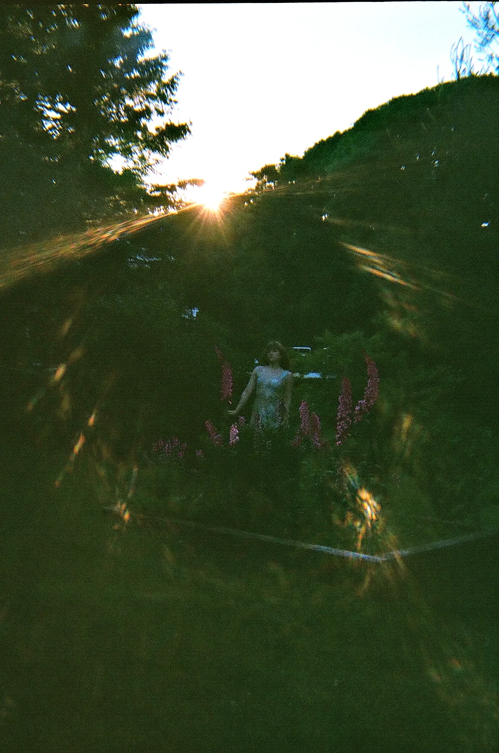 Valenti - FOXGLOVE 5.jpg