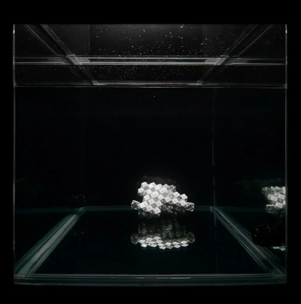FluidAssembly_FULLCUBECrystal03.jpg