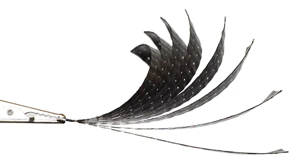 CarbonFiber_Curl_COMBINED.jpg