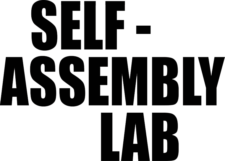 Self Assembly Lab - 